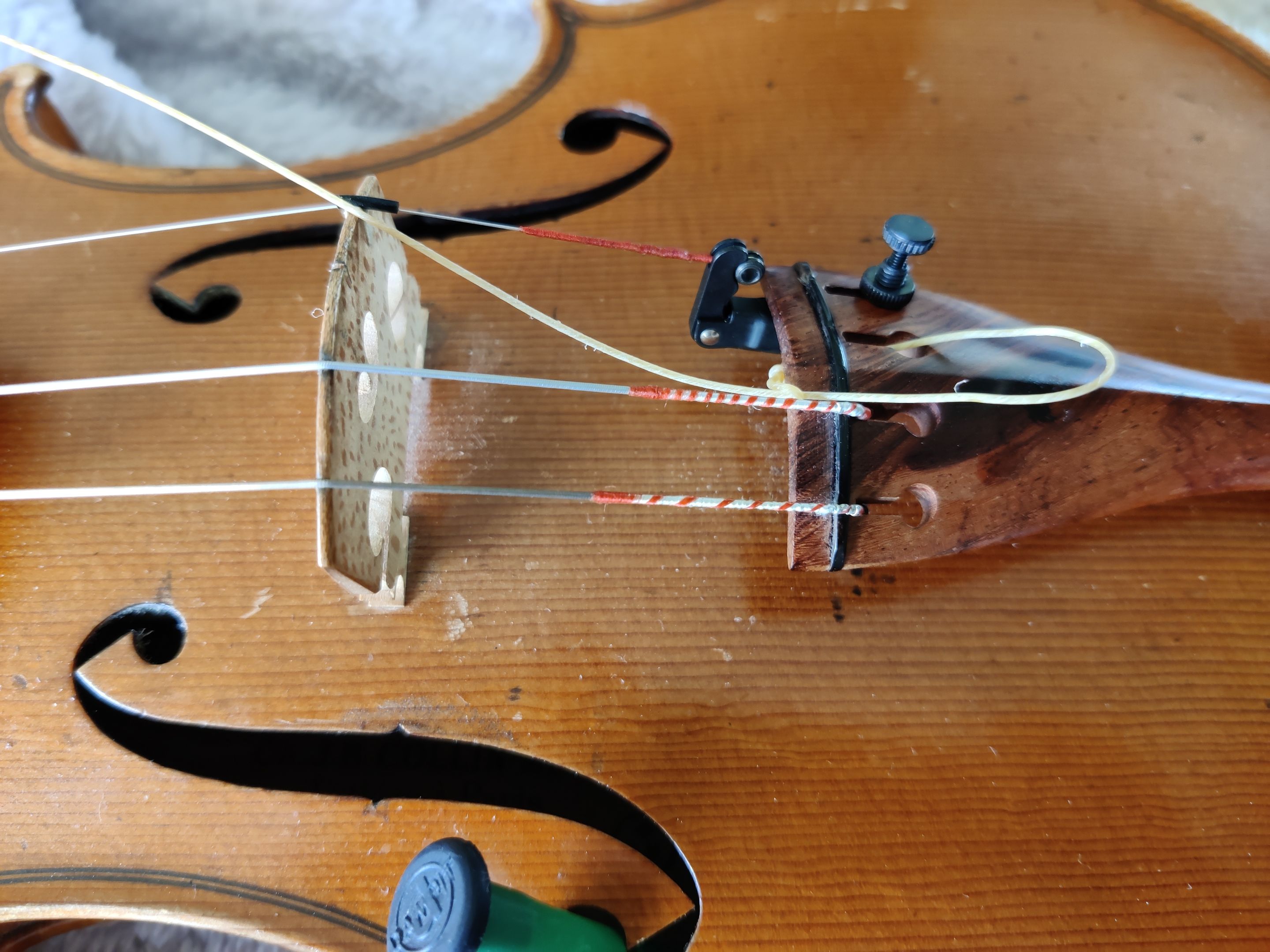 Violin
