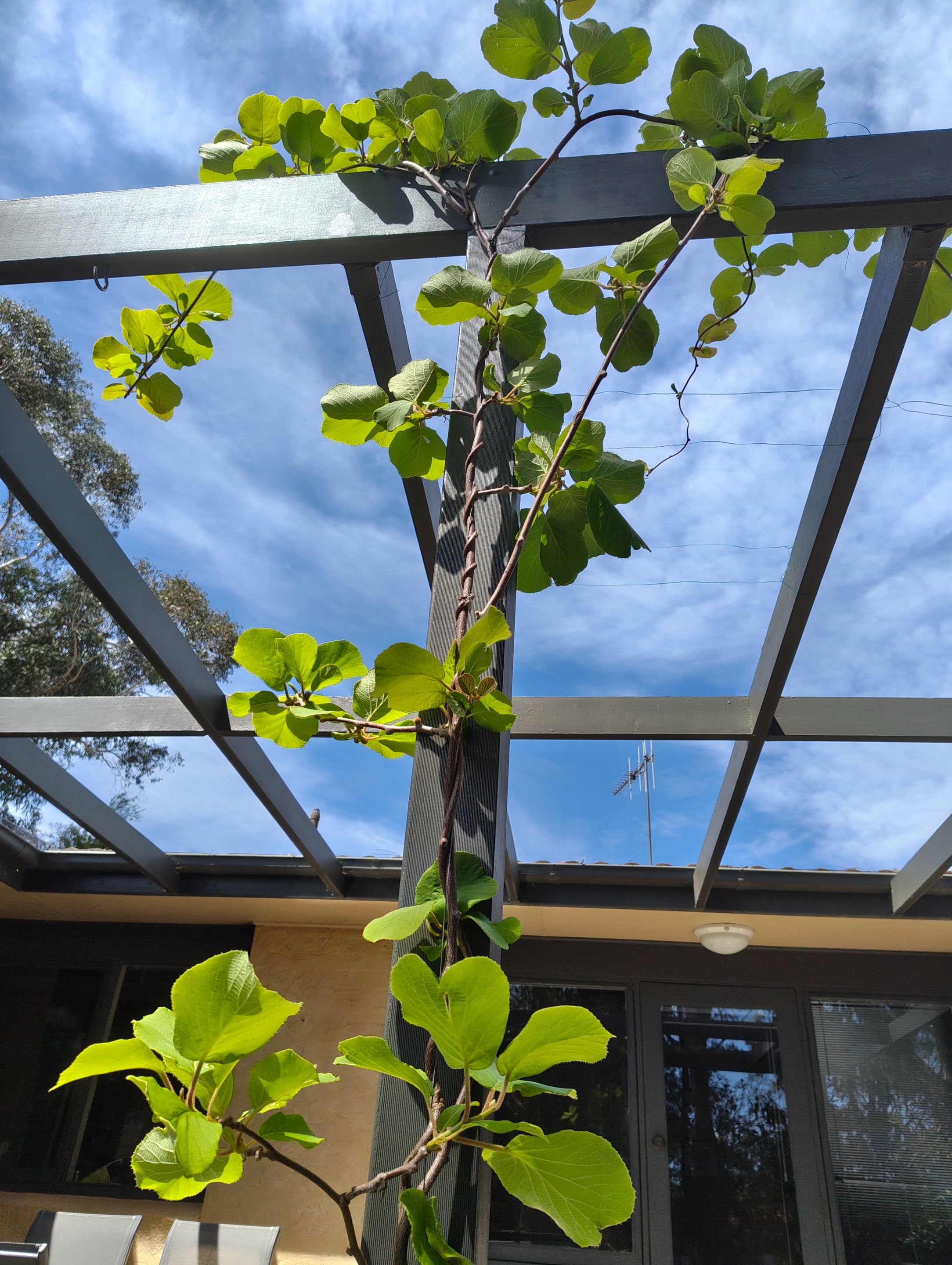 Two weeks of runaway growth!.jpg