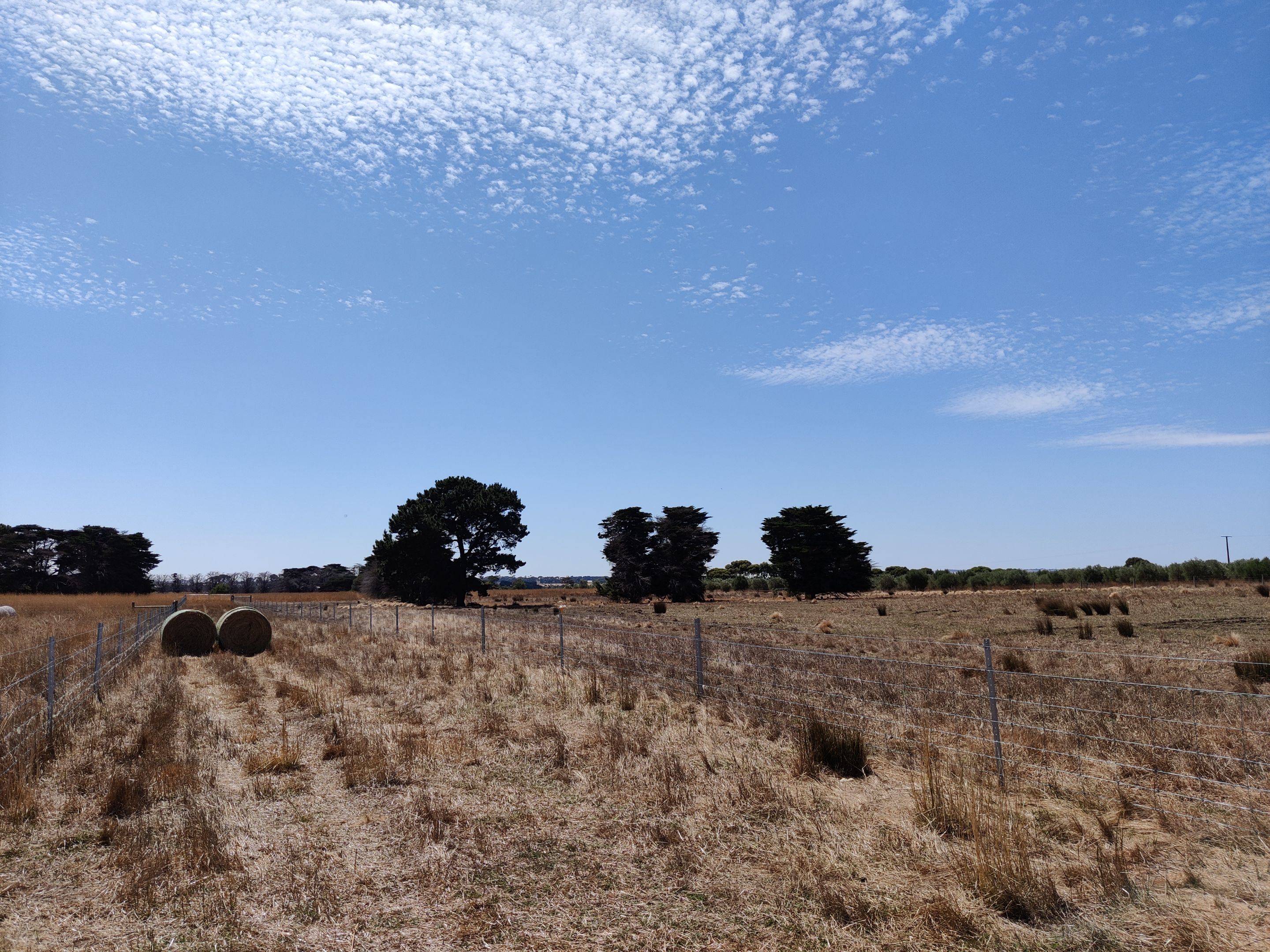 Reflections from a Farm Part 2.jpg