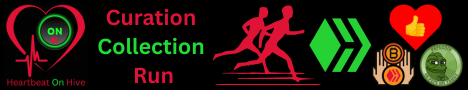 curationcollectionrun.png