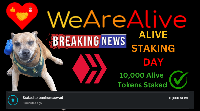 we-are-alive-tribe-alive-and-thriving-post-header-stake-020925.png