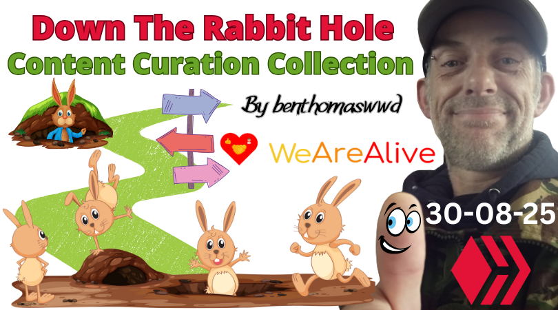 down-the-rabbit-hole-wearealivetribe-engagements-30-08-25.png
