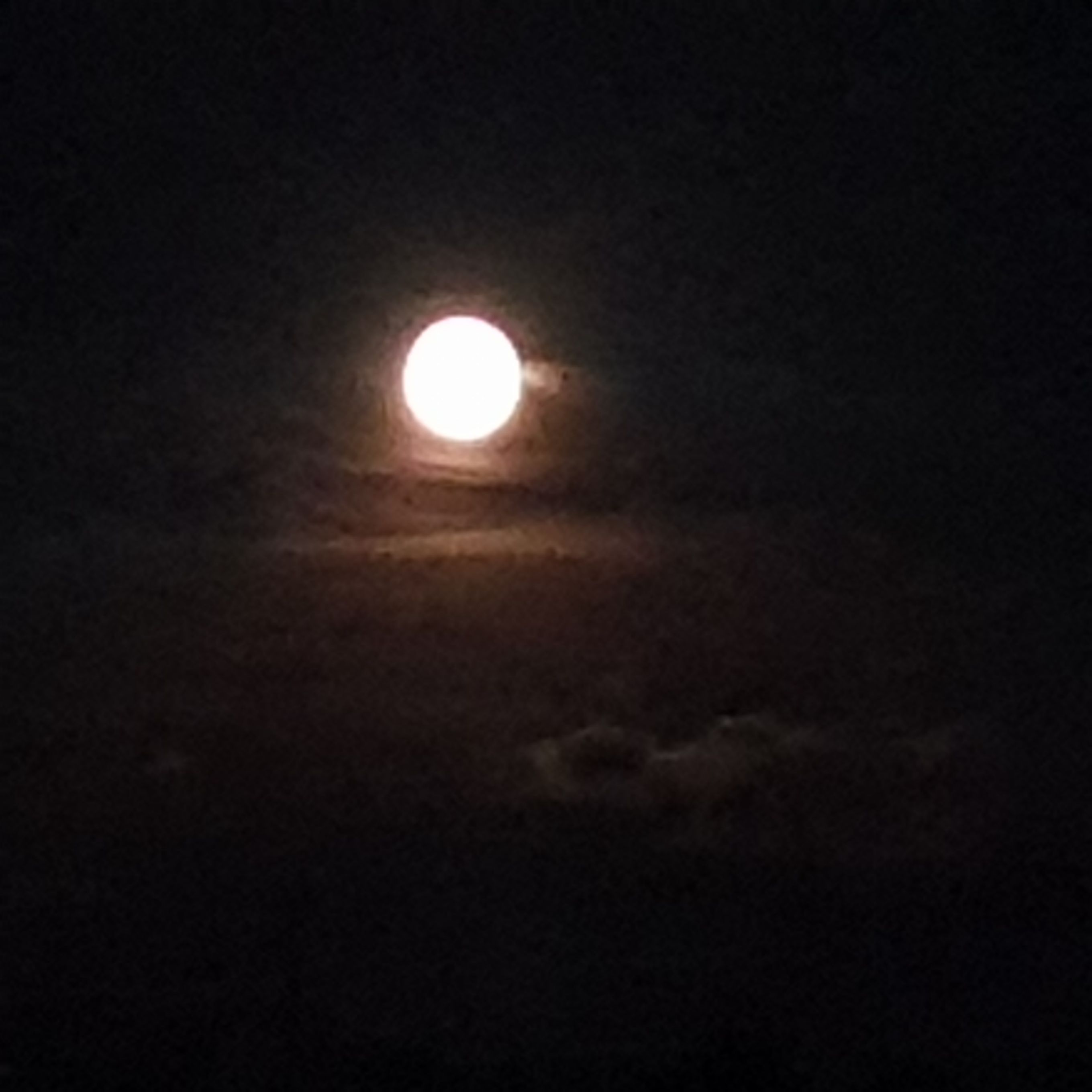 20250908_202952.jpg