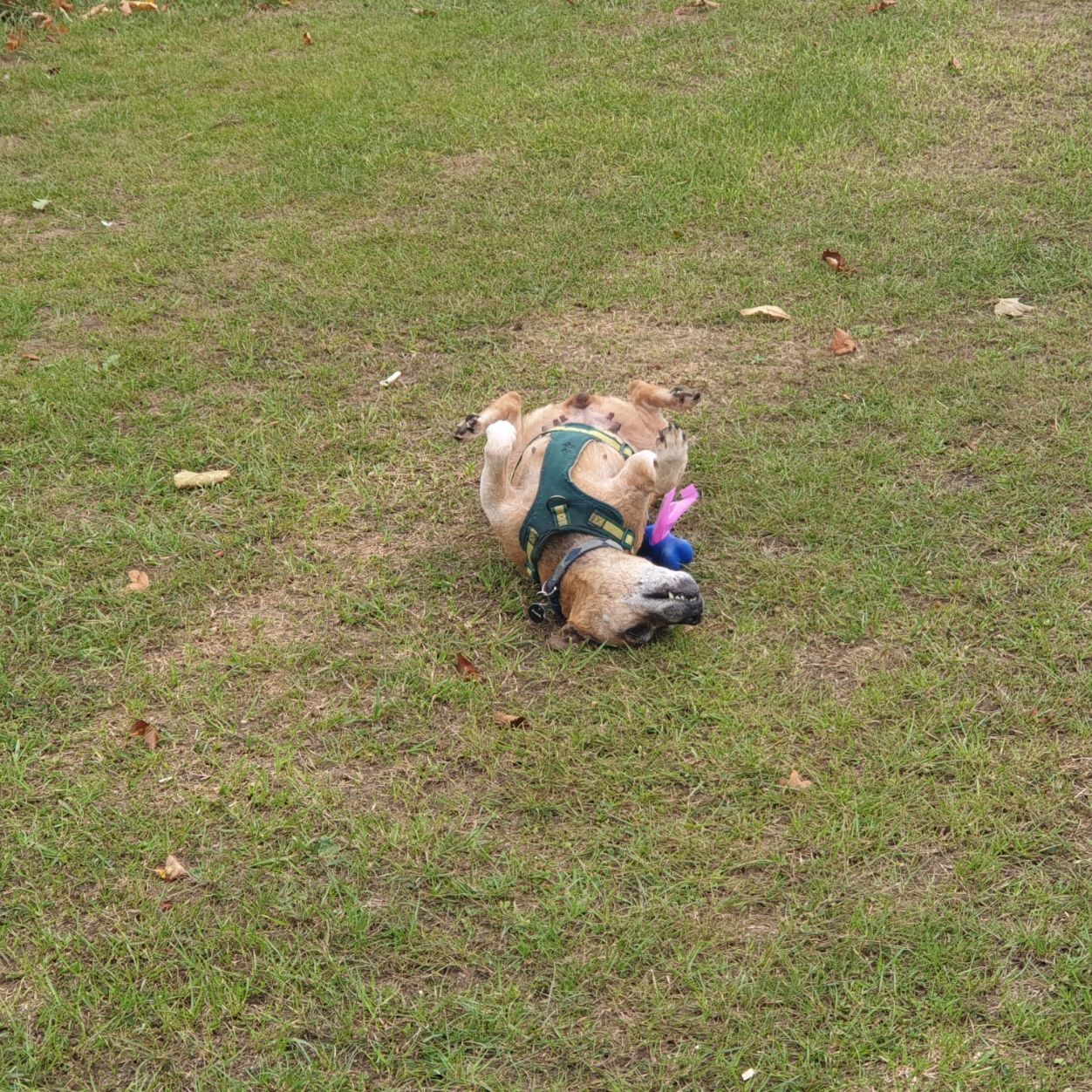 20250902_115336.jpg