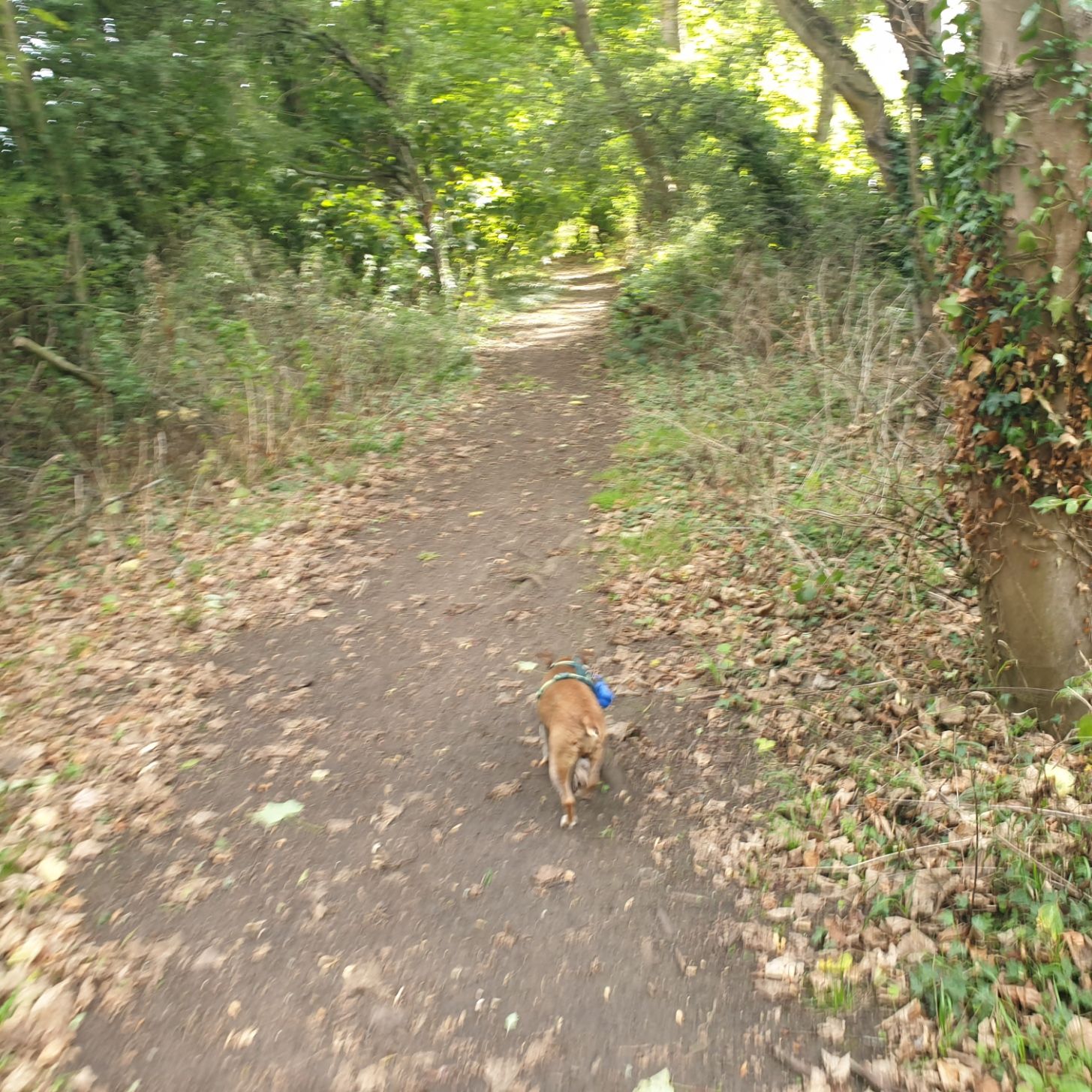 20250916_093900.jpg