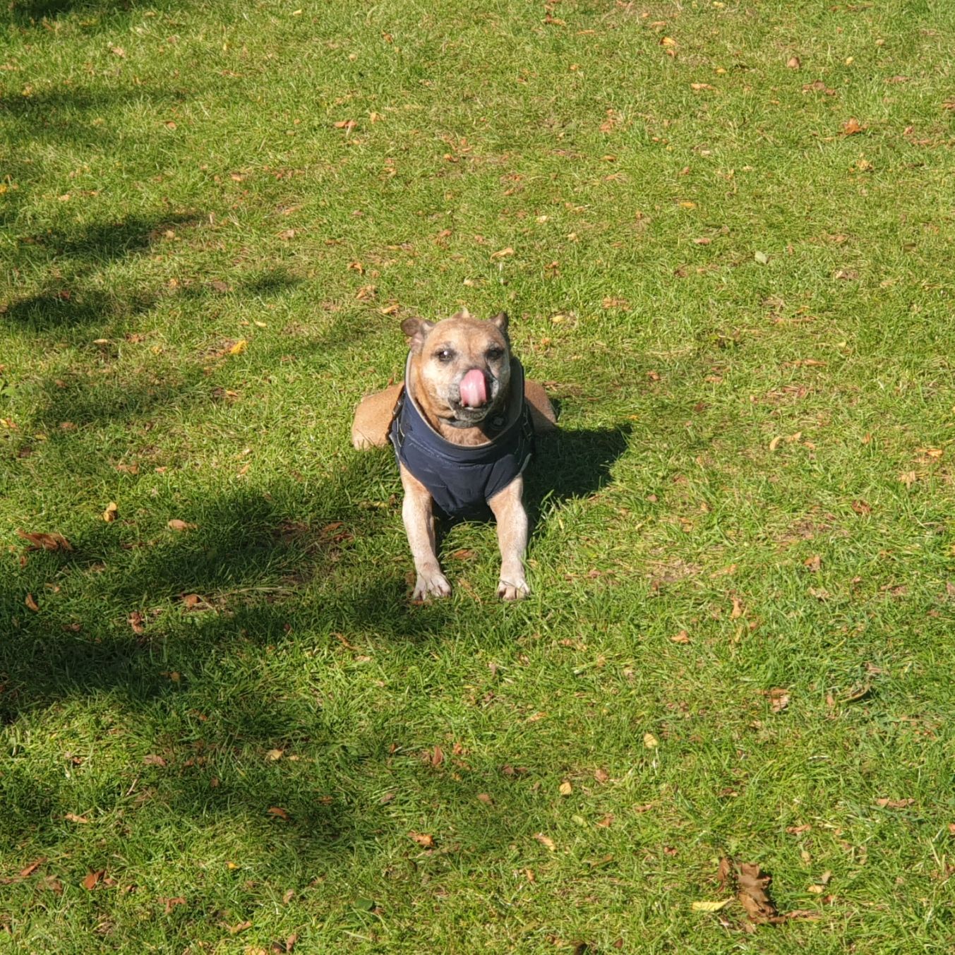 20250923_114739.jpg