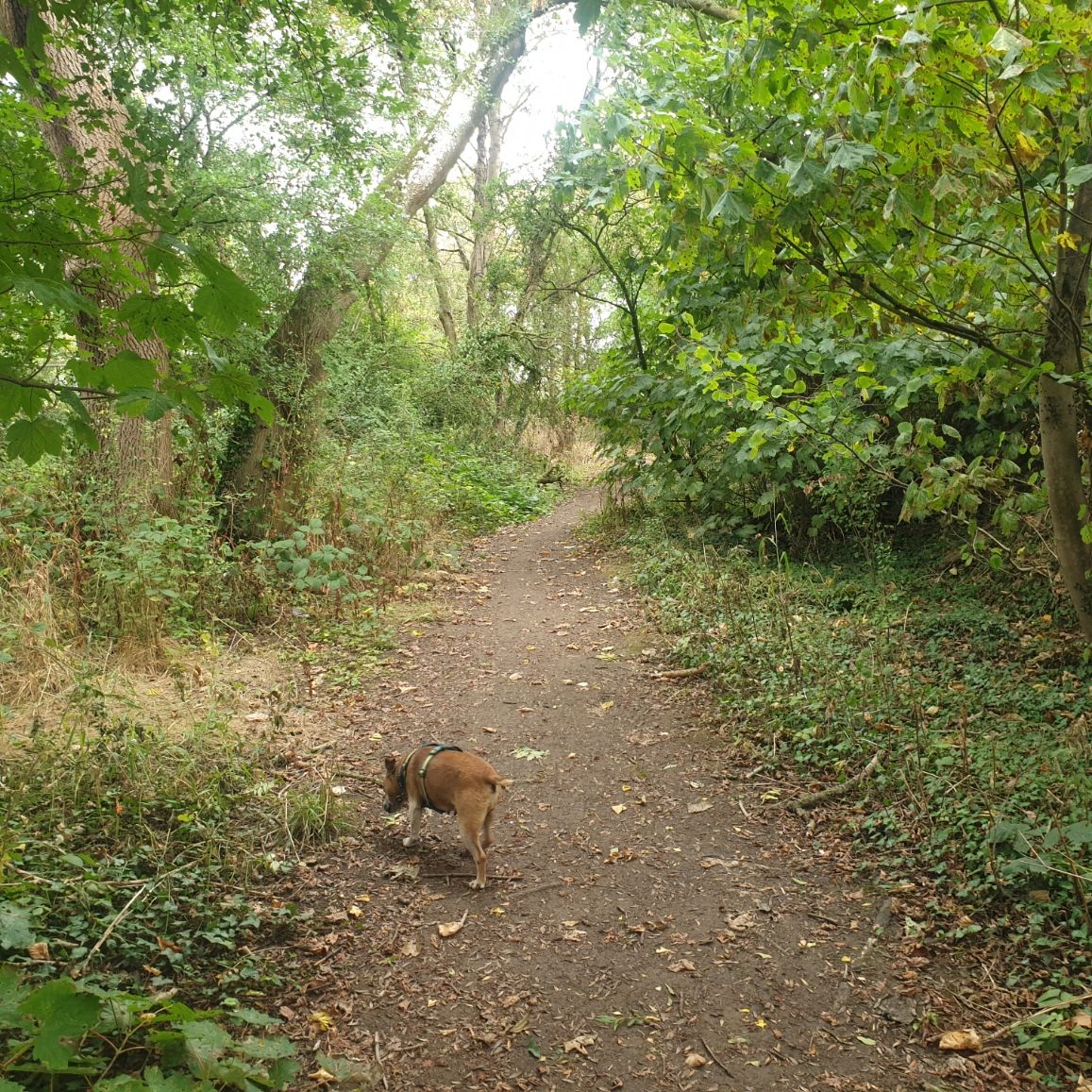 20250902_120436.jpg