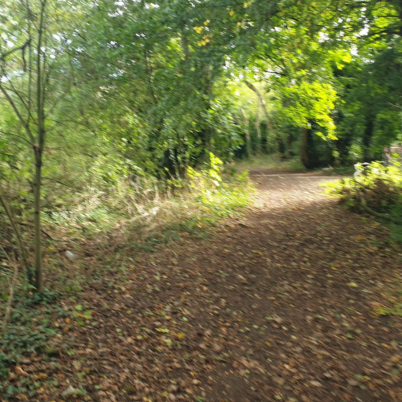 20250916_094030.jpg