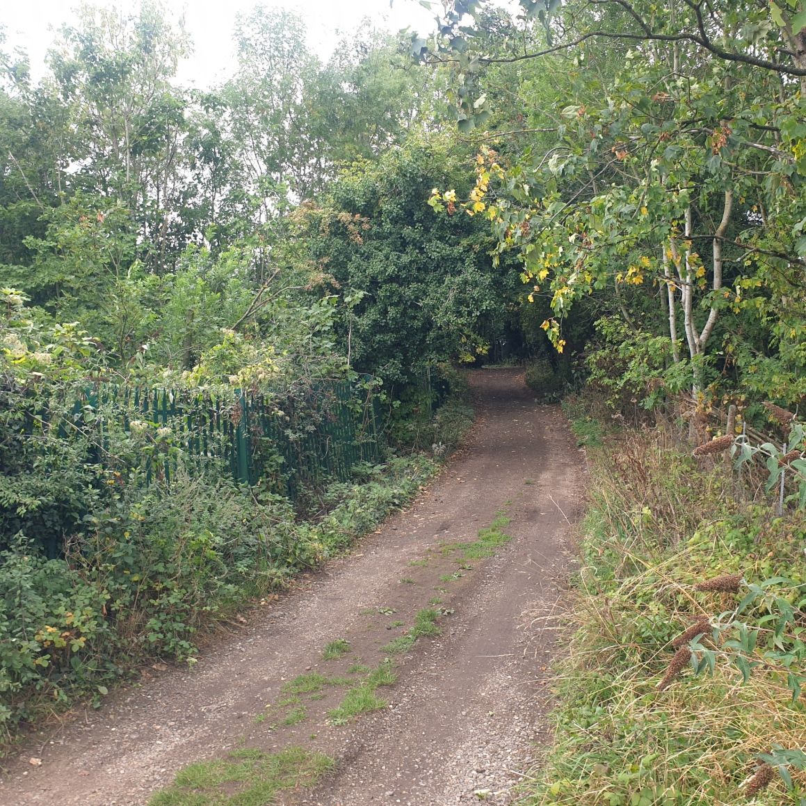 20250902_115947.jpg