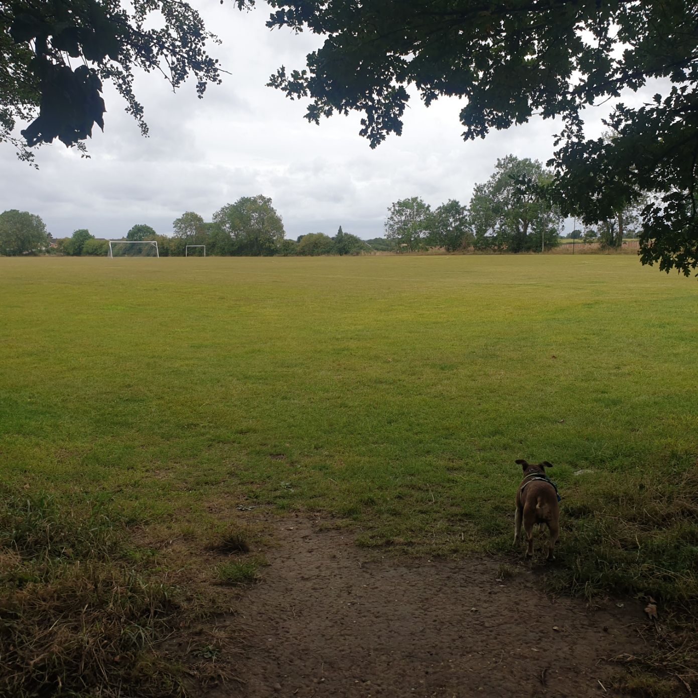 20250902_120537.jpg
