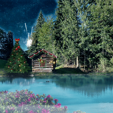 Pixaloop_21_12_2020_11_52_53_4010000_1.gif