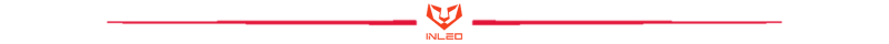 INLEO Text Divider (800 x 40 px) (3).png