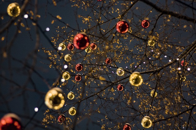 ornaments-4927258_640.jpg