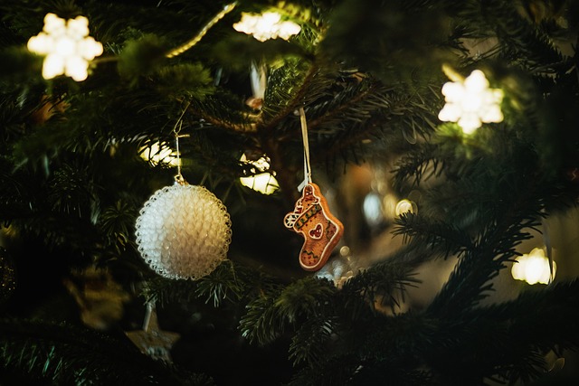 merry-christmas-5860209_640.jpg