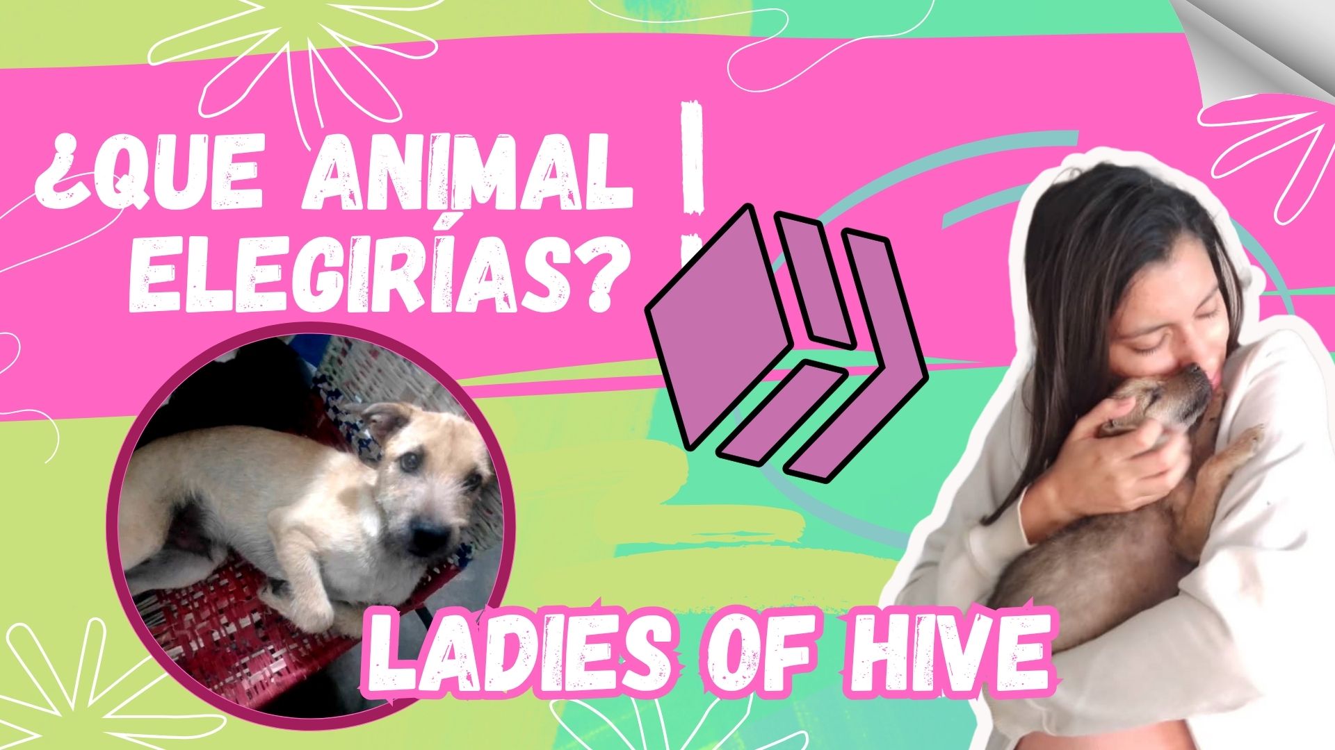Video Clip de Salida Fondo Aesthetic Rosa Verde .jpg
