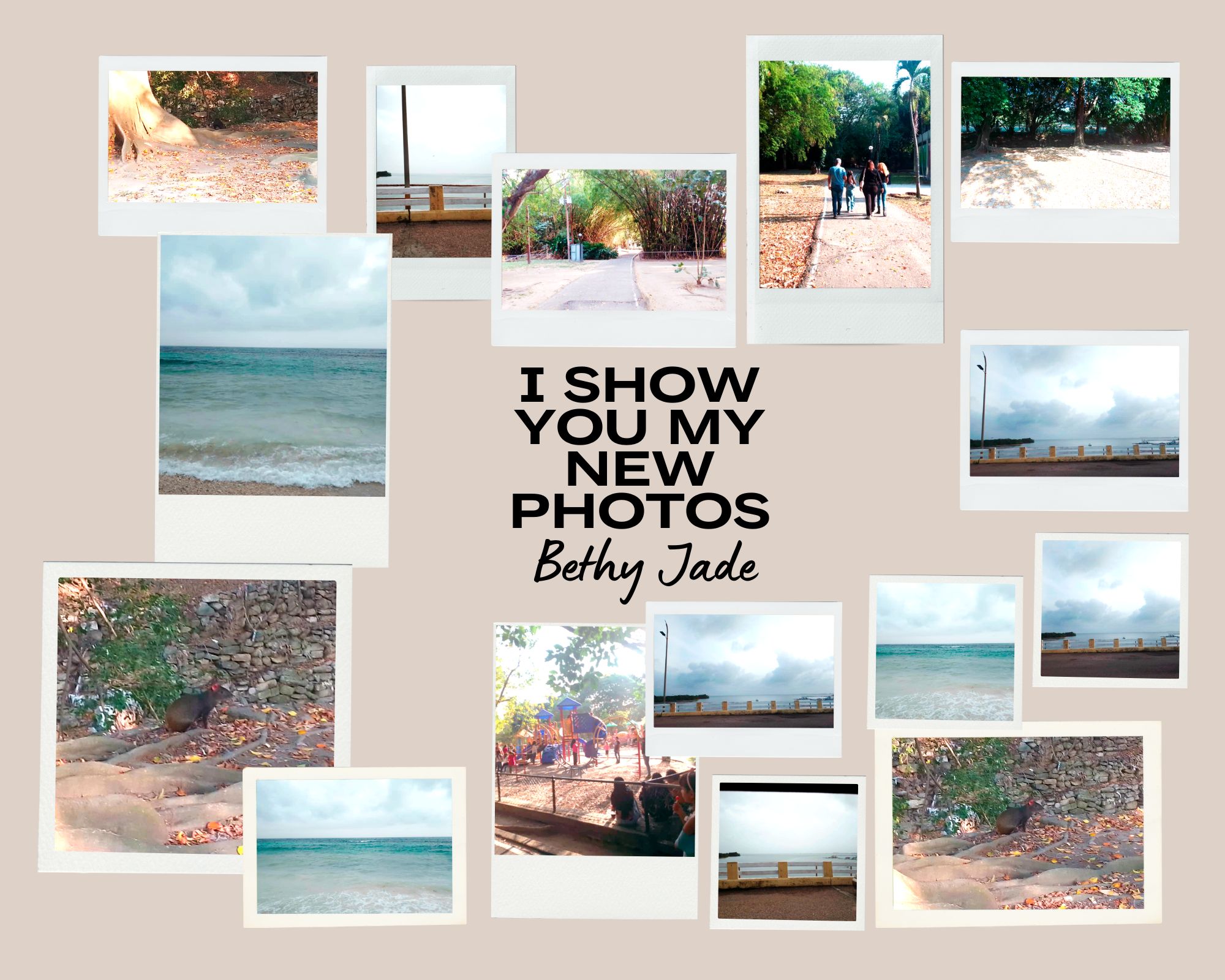 Collage de Fotos de Año Nuevo Sencillo Beige.jpg