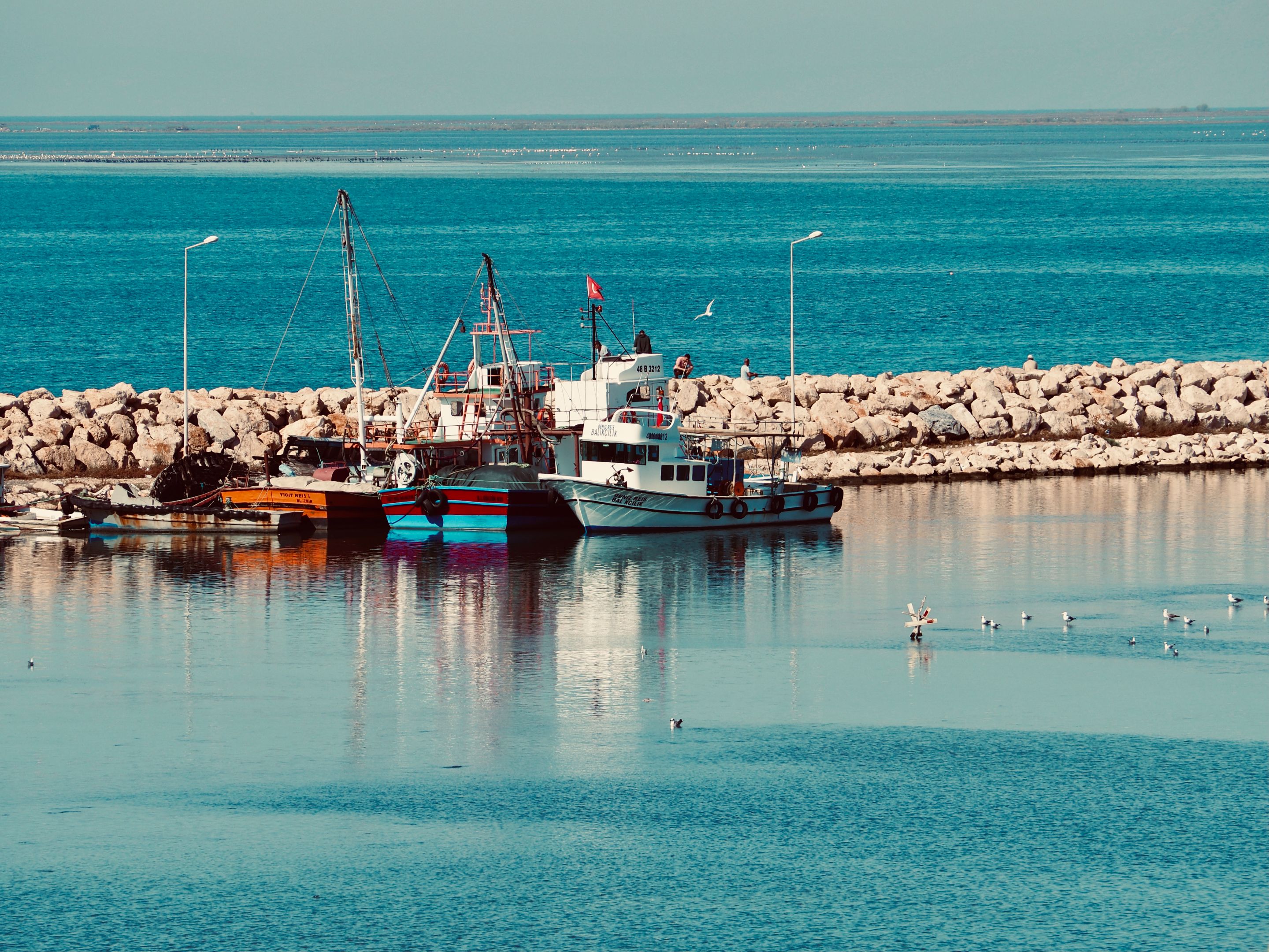PA231757.JPG