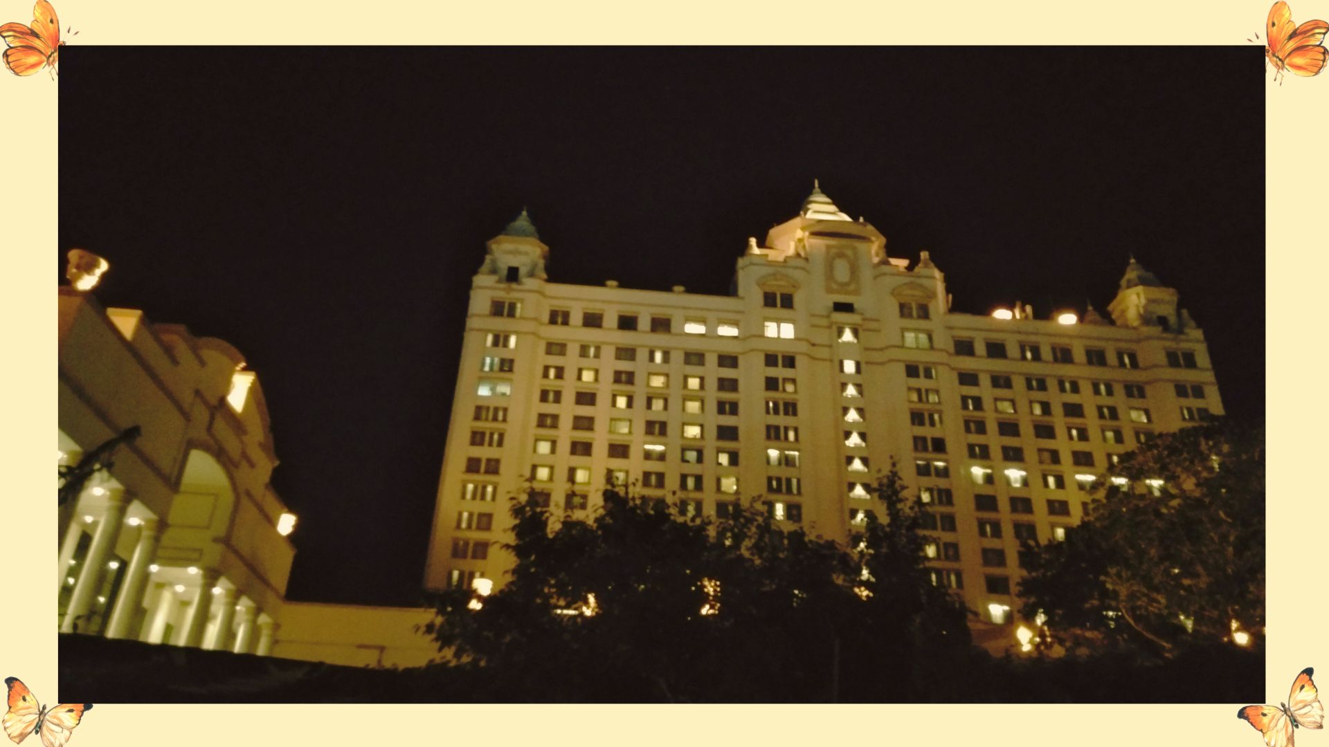 nightout_front_002.jpg