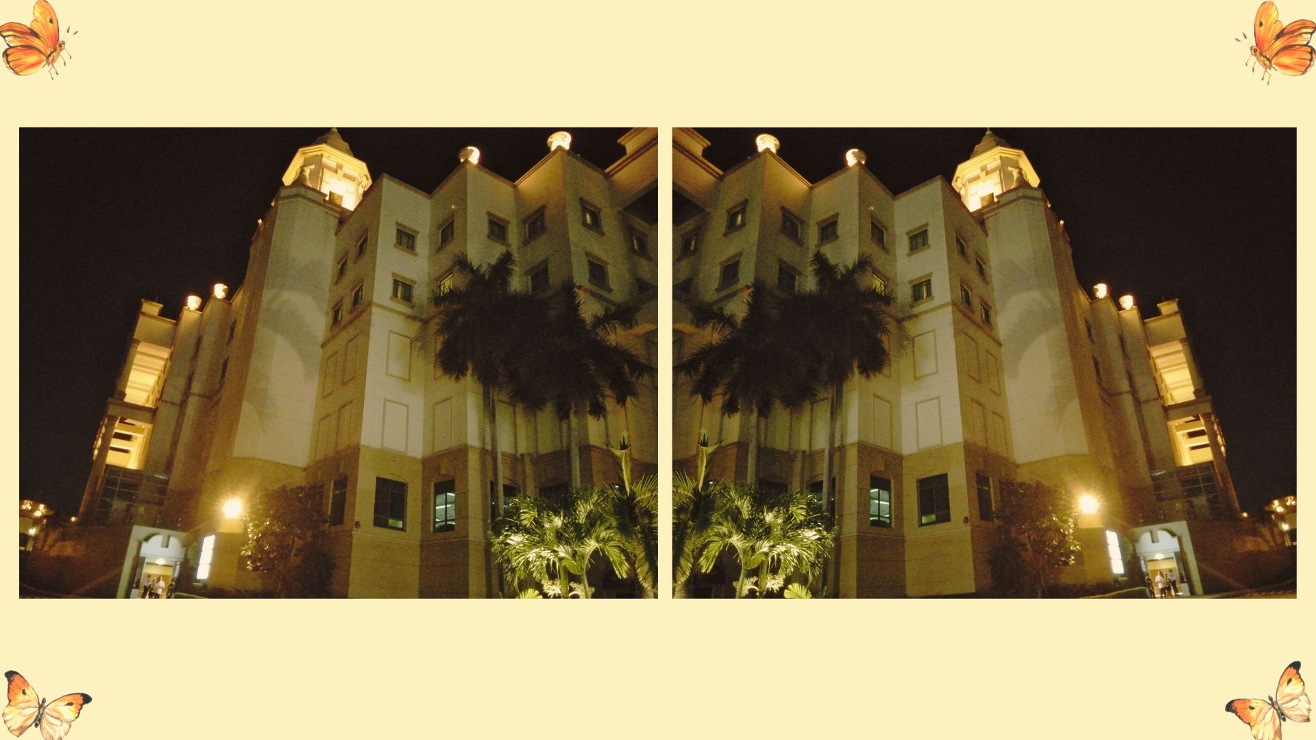 nightout_front_003.jpg