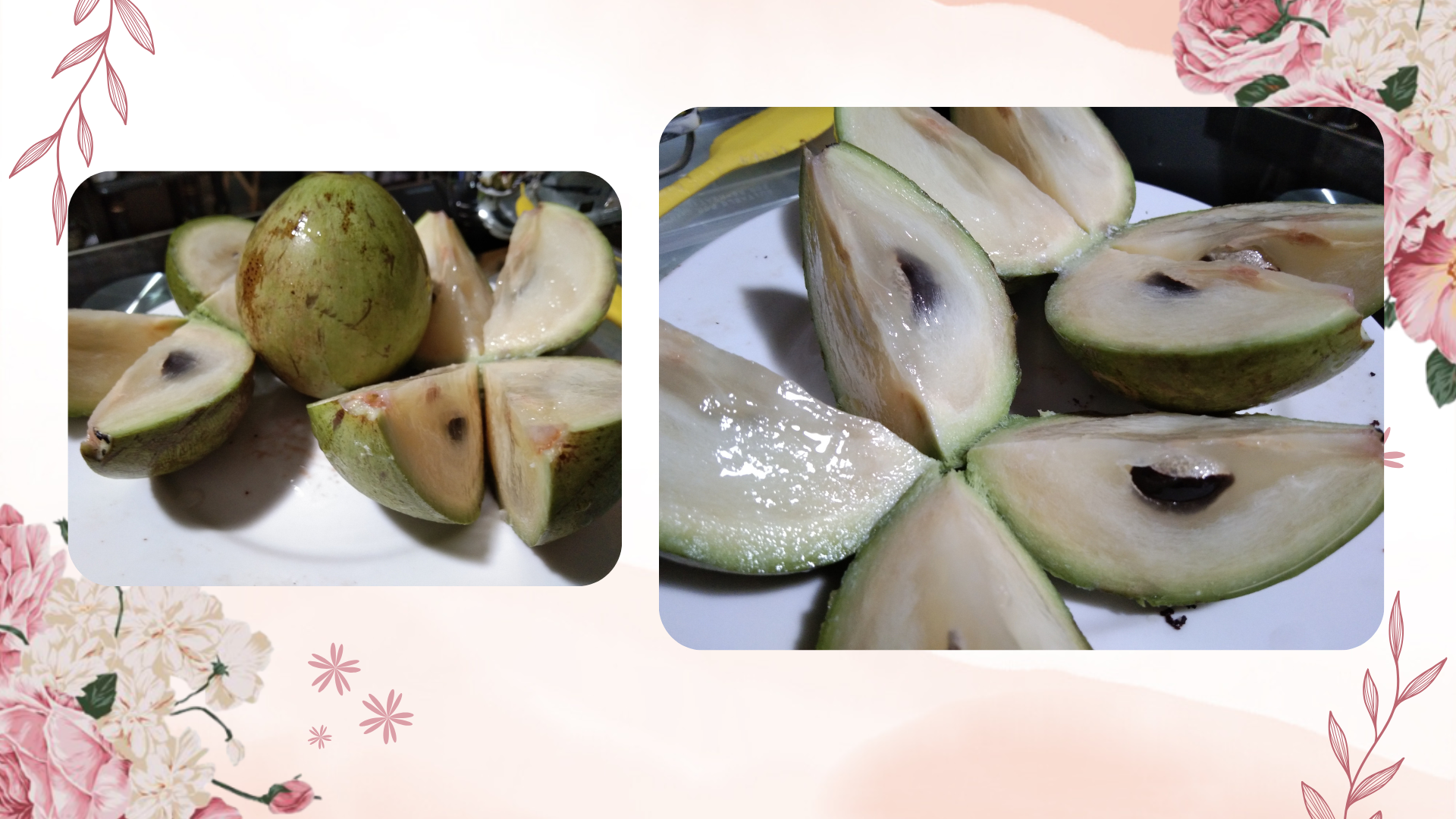 WeekendJoy_fruit.png