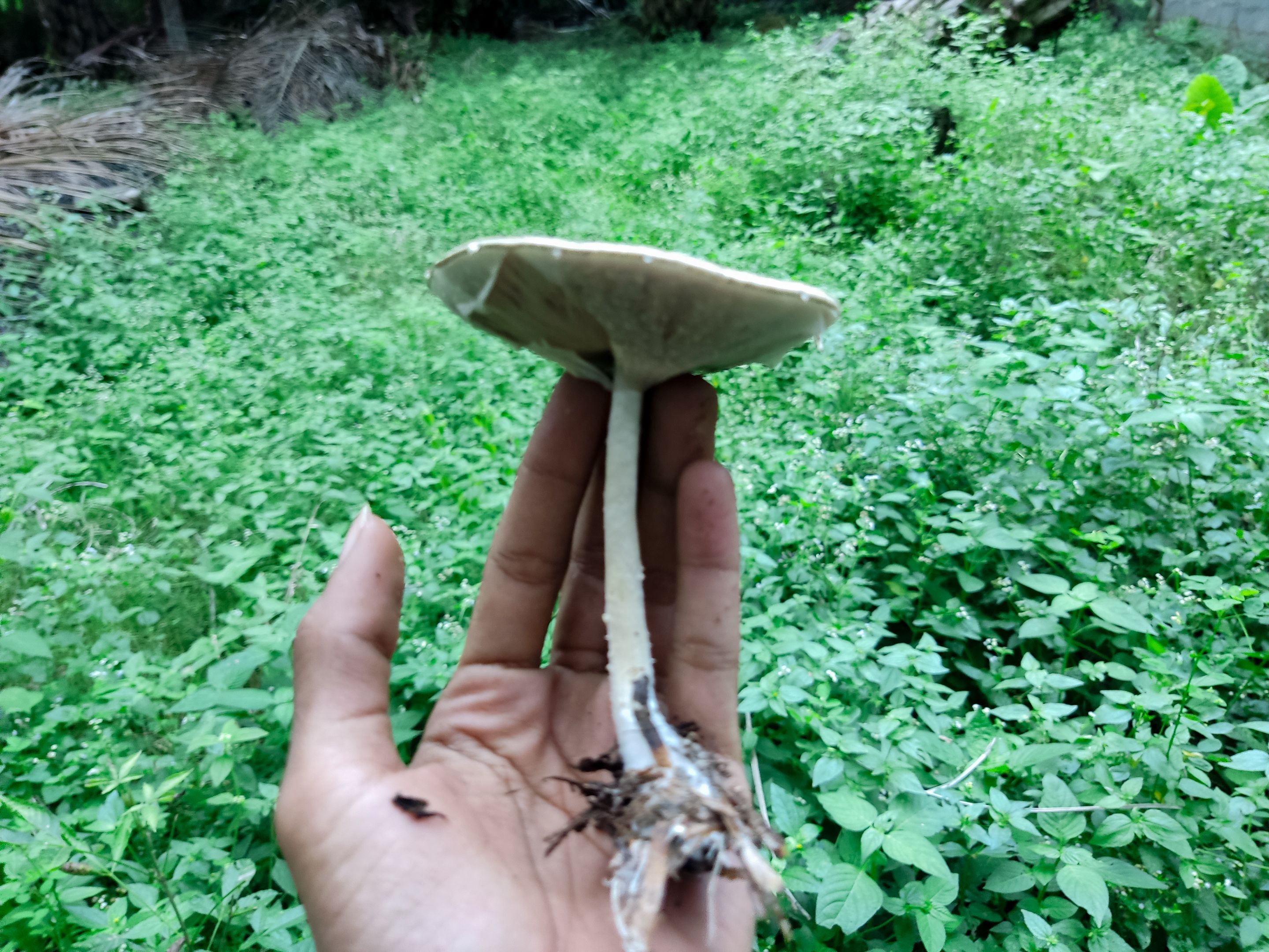 EoCh7xVVcrt9AAkvmXpgJcws21qEznmKwLBn7bqDDsWQbvSnjZoXYpiwkLCqewqi5Q7.jpg