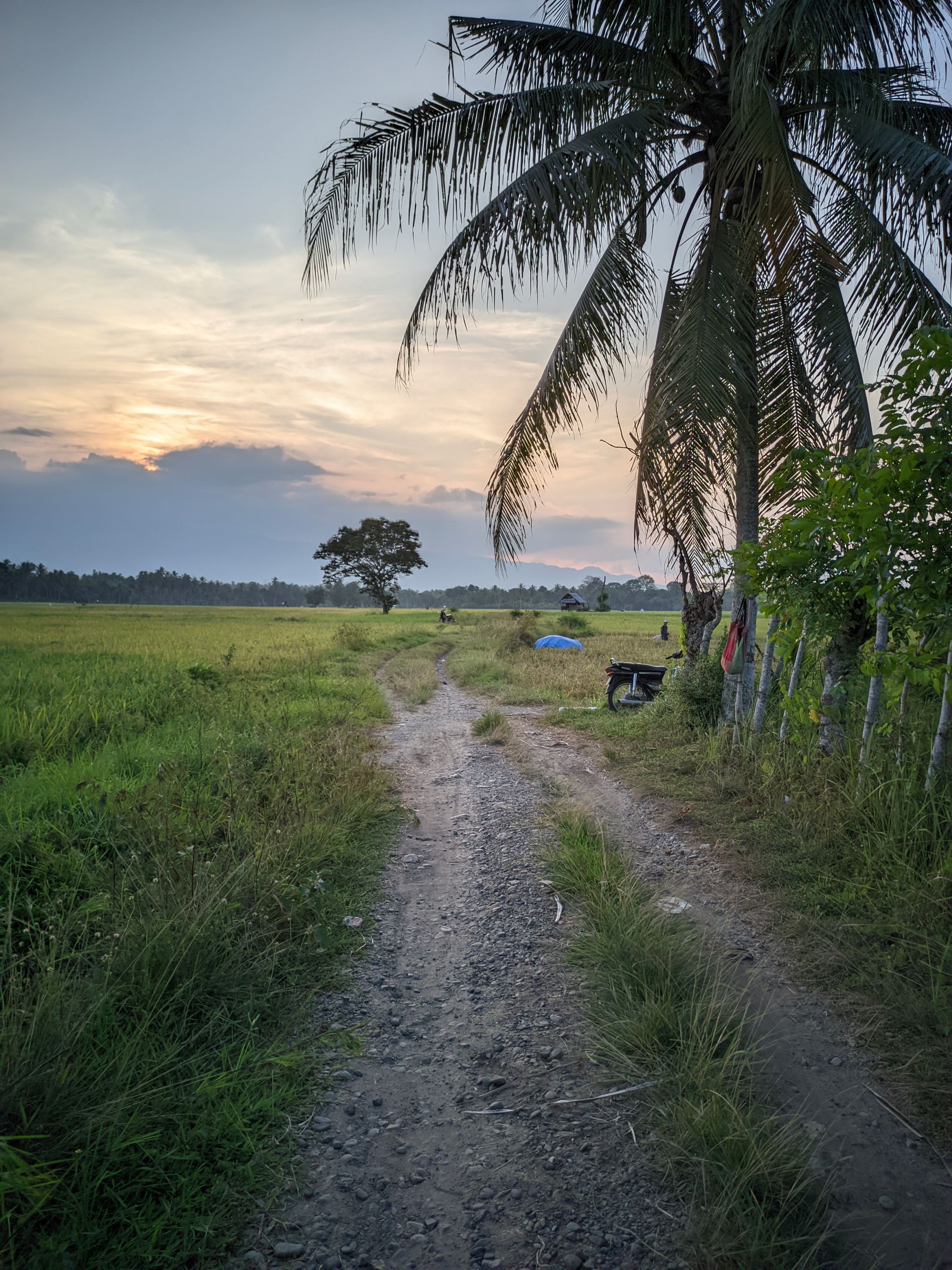 ©Seputar Gcam20240210_182018_📍Iphone 16 HDR LMC📍Format YUV.jpg