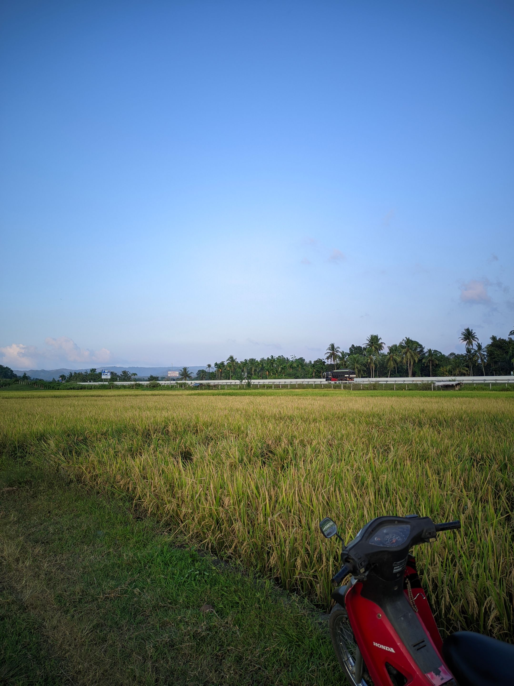 ©Seputar Gcam20240210_181708_📍Iphone 16 HDR LMC📍Format YUV.jpg