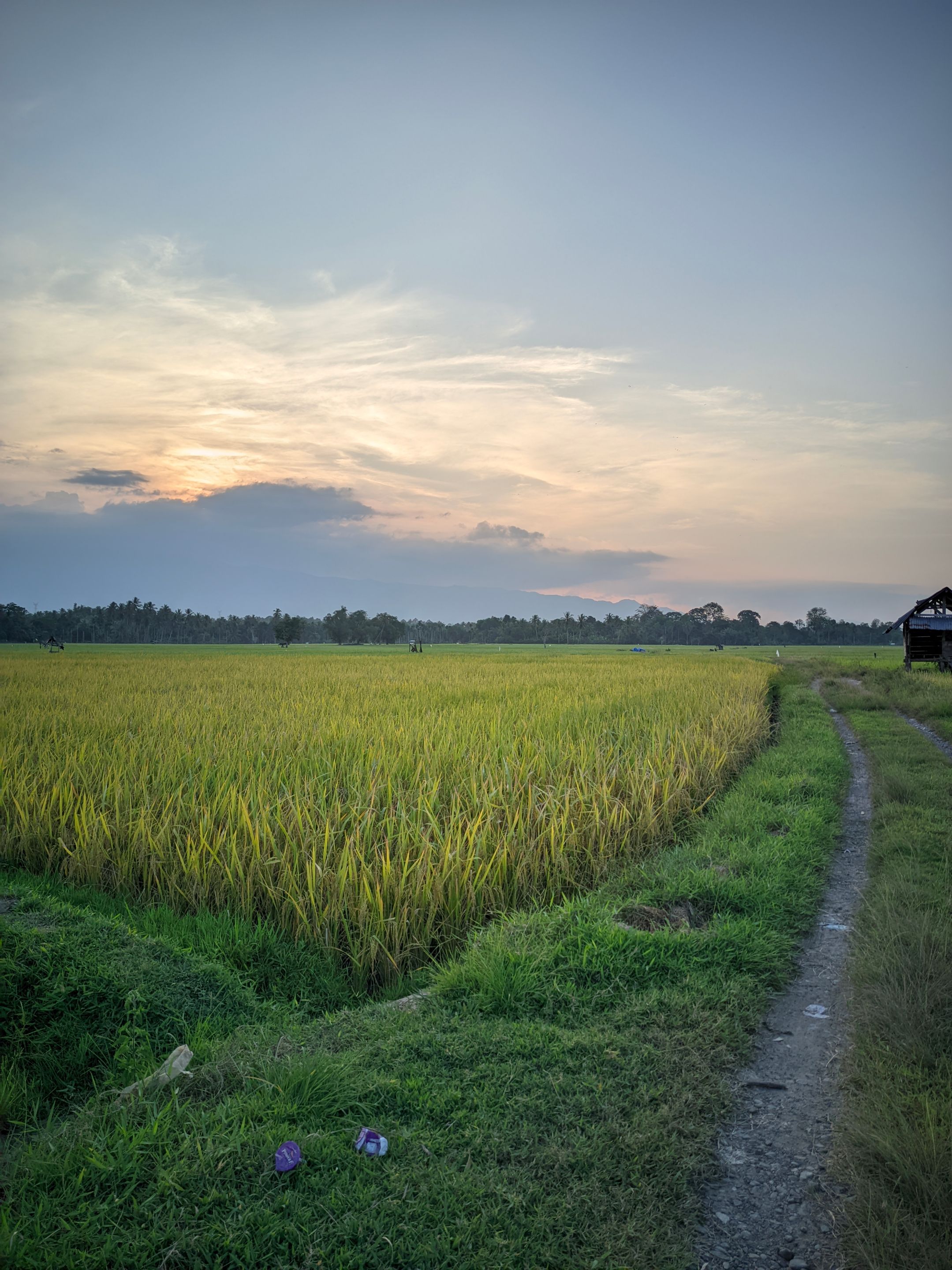 ©Seputar Gcam20240210_182106_📍Iphone 16 HDR LMC📍Format YUV.jpg