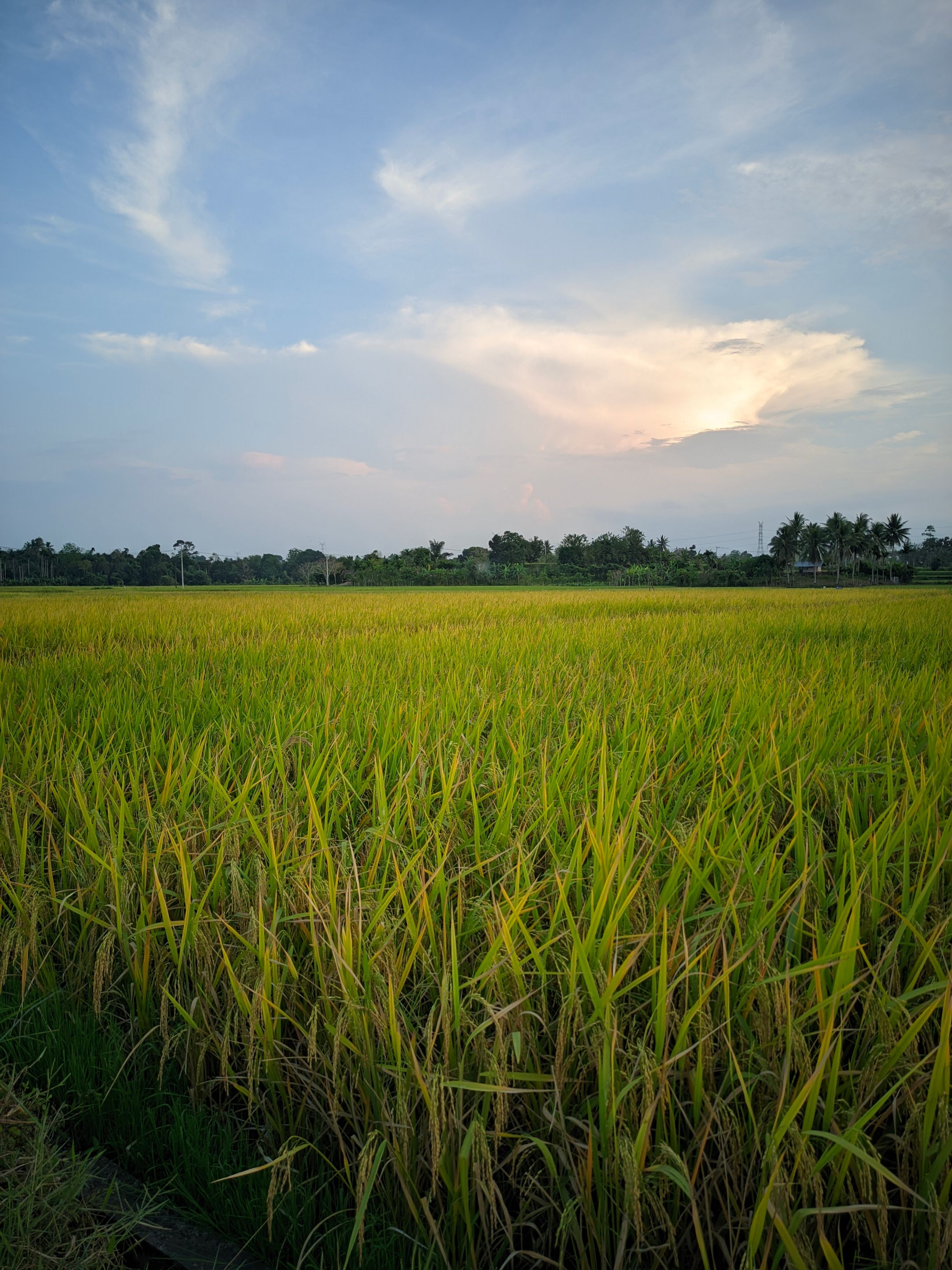 ©Seputar Gcam20240210_183607_📍Iphone 16 HDR LMC📍Format YUV.jpg