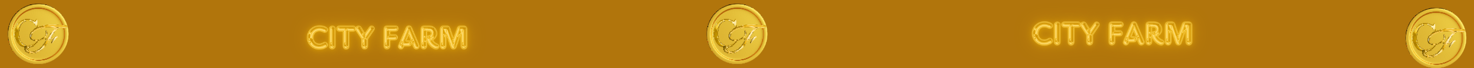 SEPARADOR.png