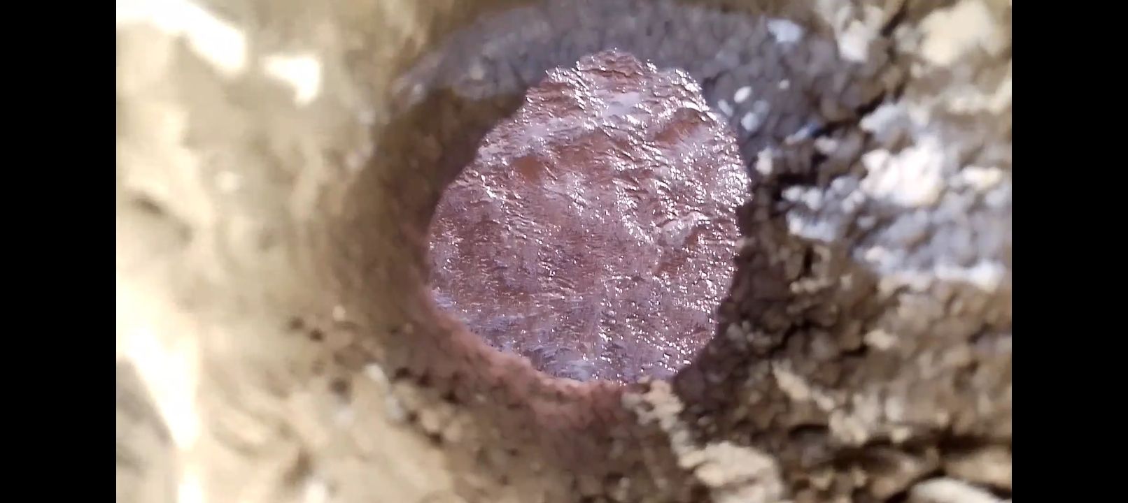$1