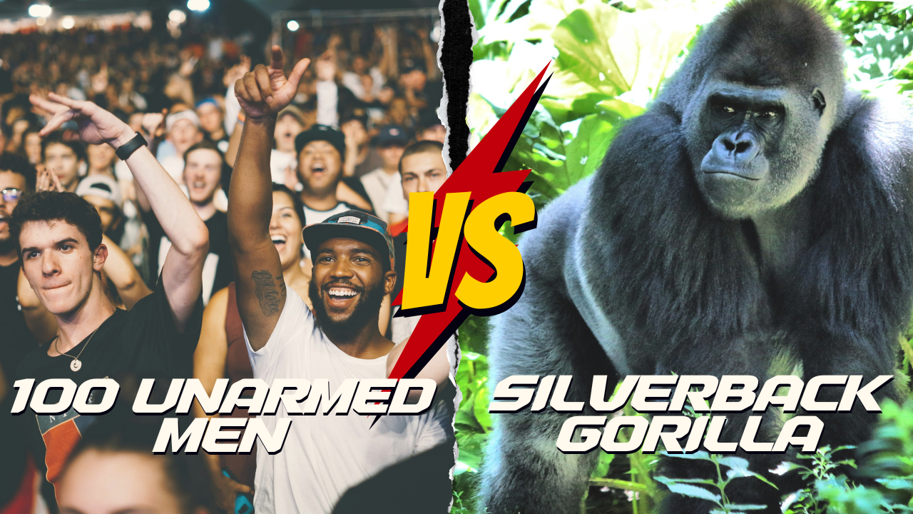 men vs gorilla.png