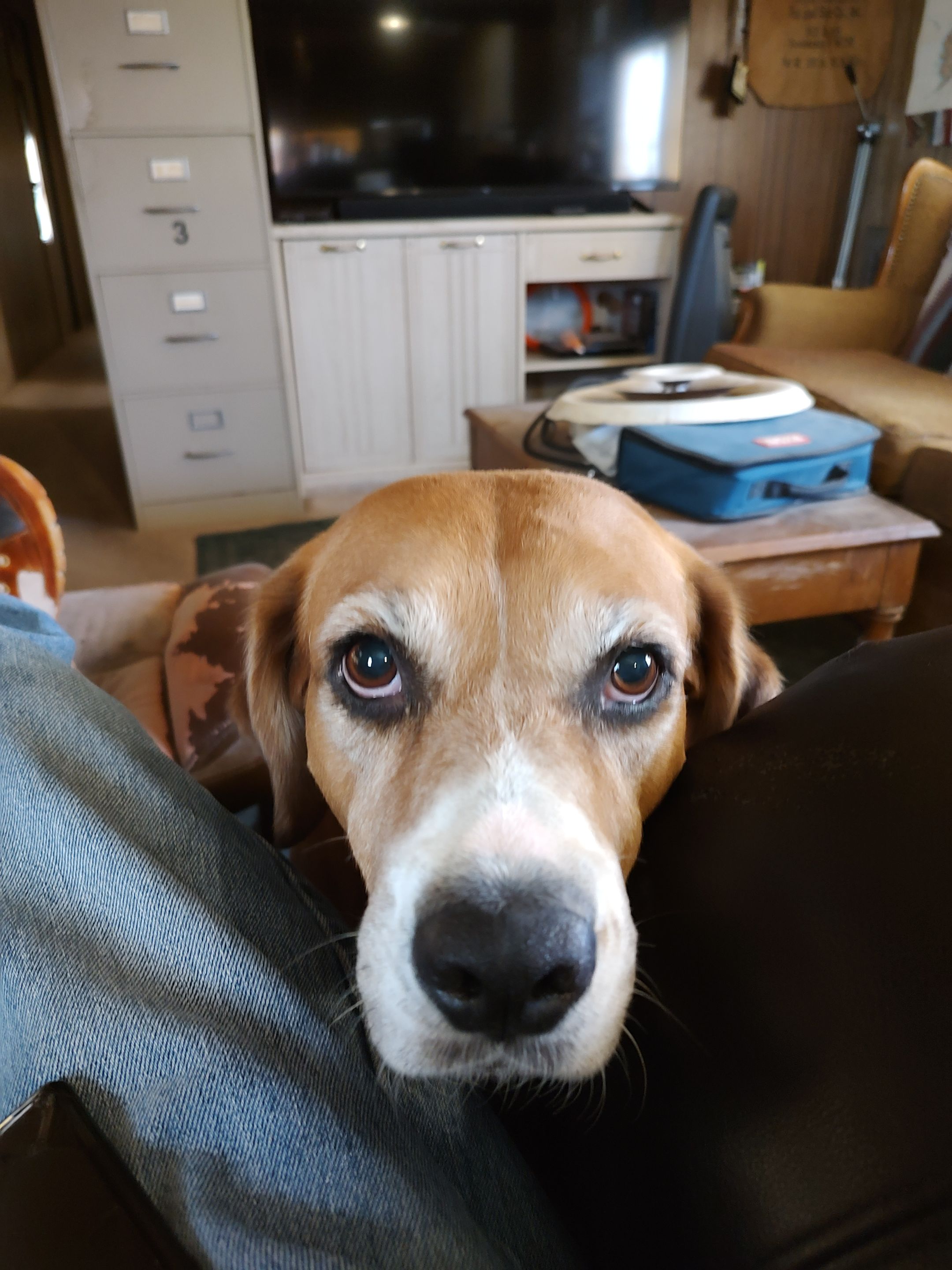 Sam Stare.jpg
