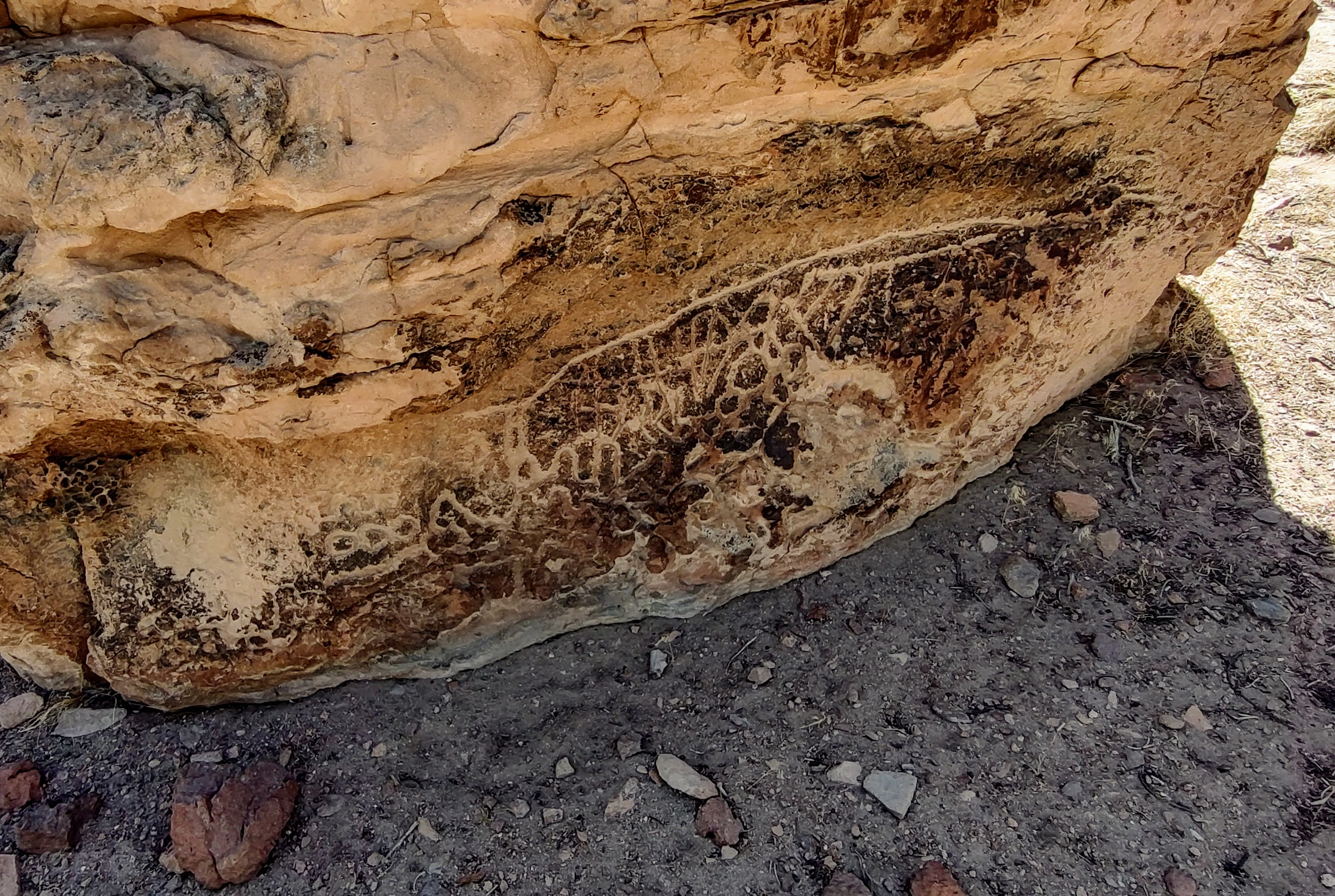 A final rock detail 3.jpg