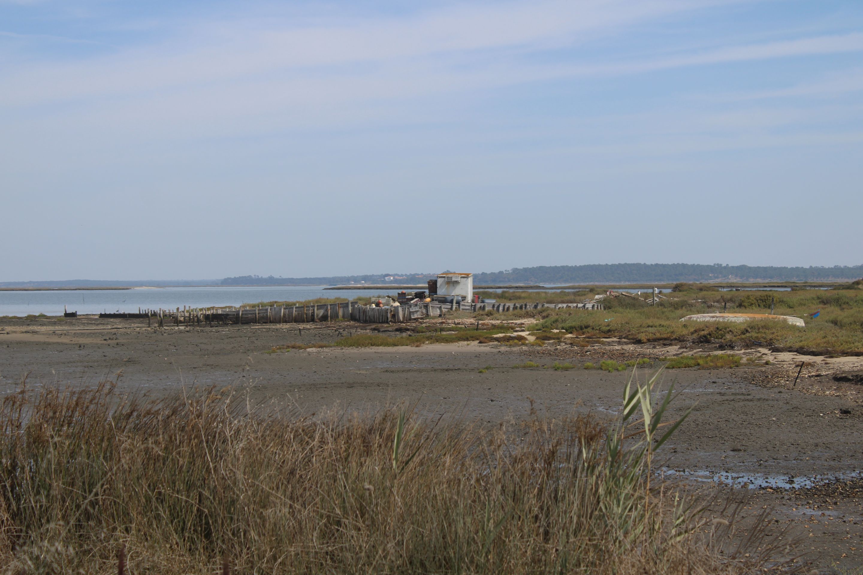 IMG_8769.JPG