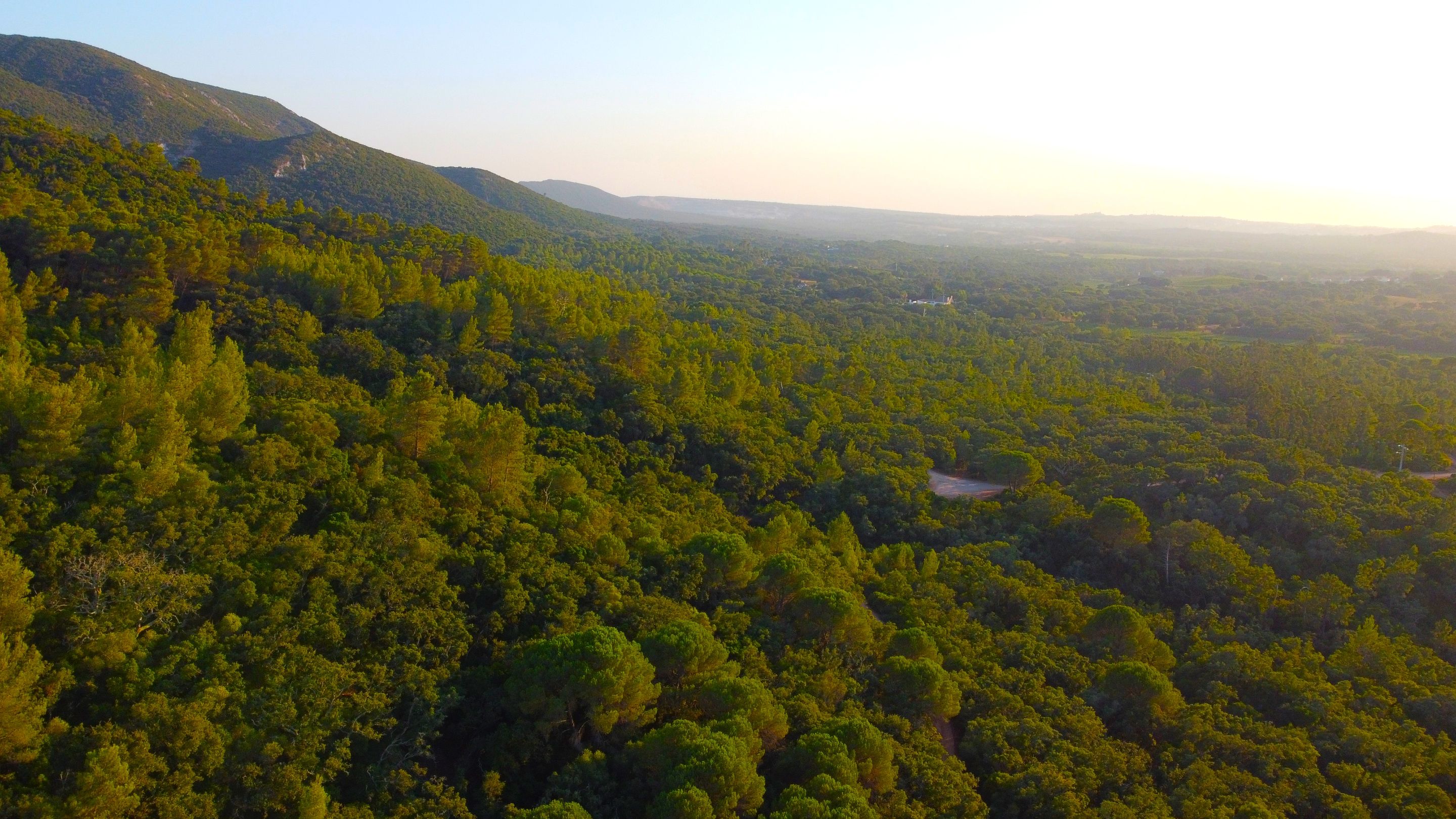 DJI_0378.JPG