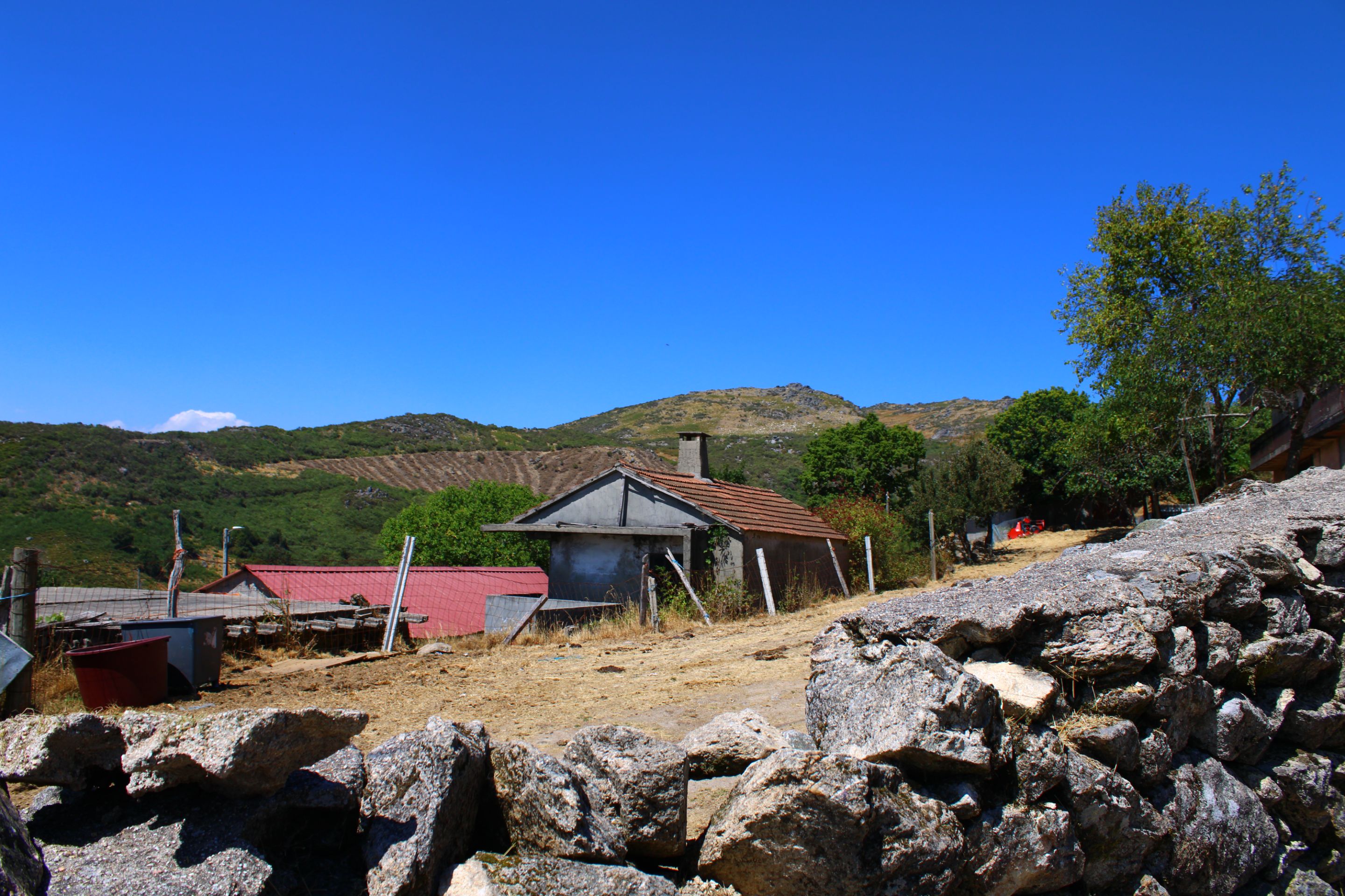 IMG_7991.JPG