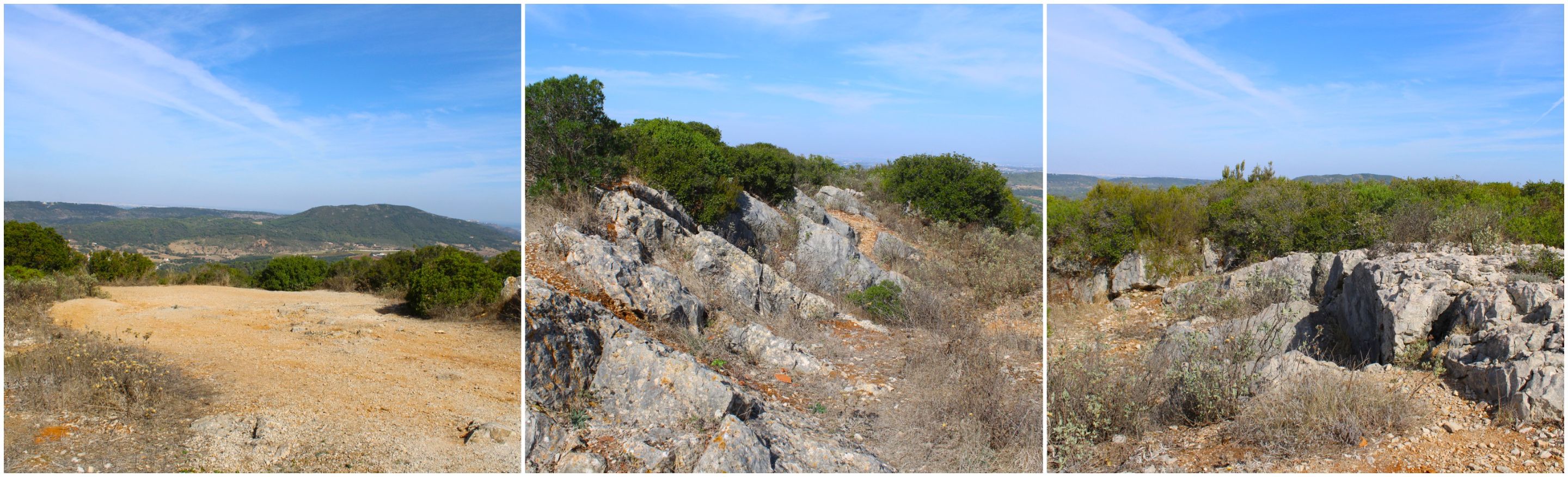 BeFunky-collage - 2025-11-03T114554.129.jpg