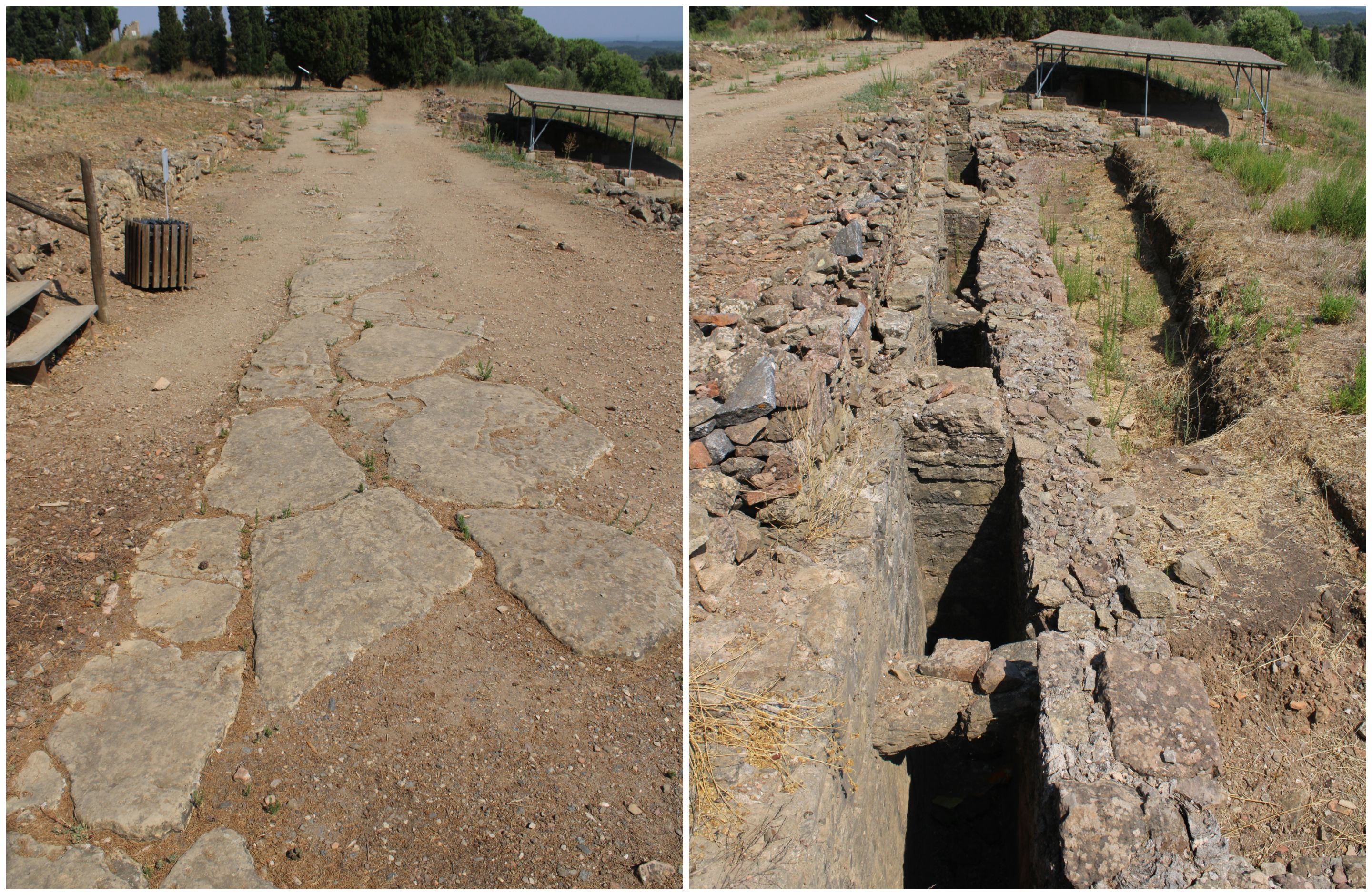 BeFunky-collage - 2025-10-20T120756.054.jpg