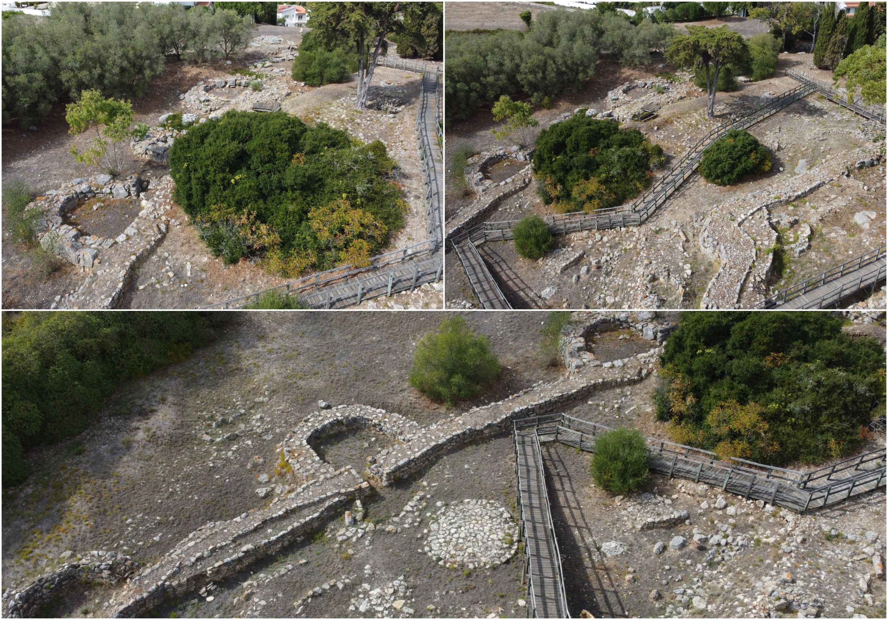 BeFunky-collage - 2025-10-23T110830.723.jpg