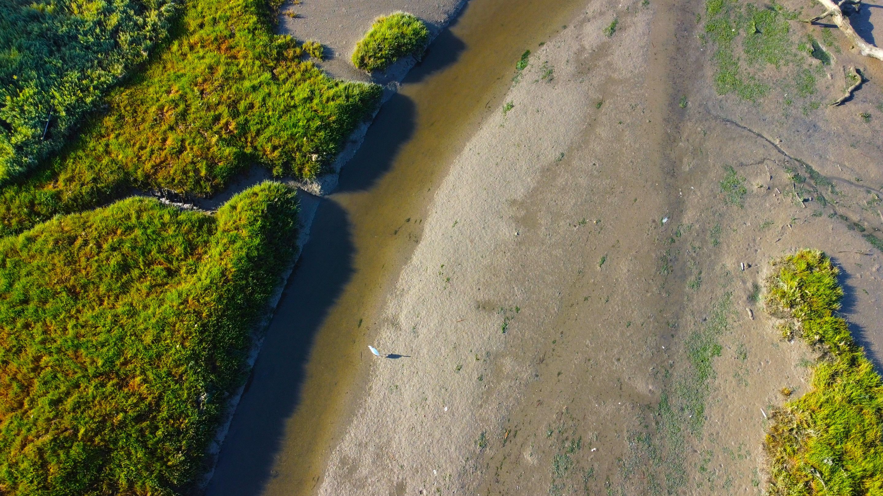 DJI_0424.JPG