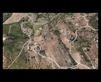 ruta