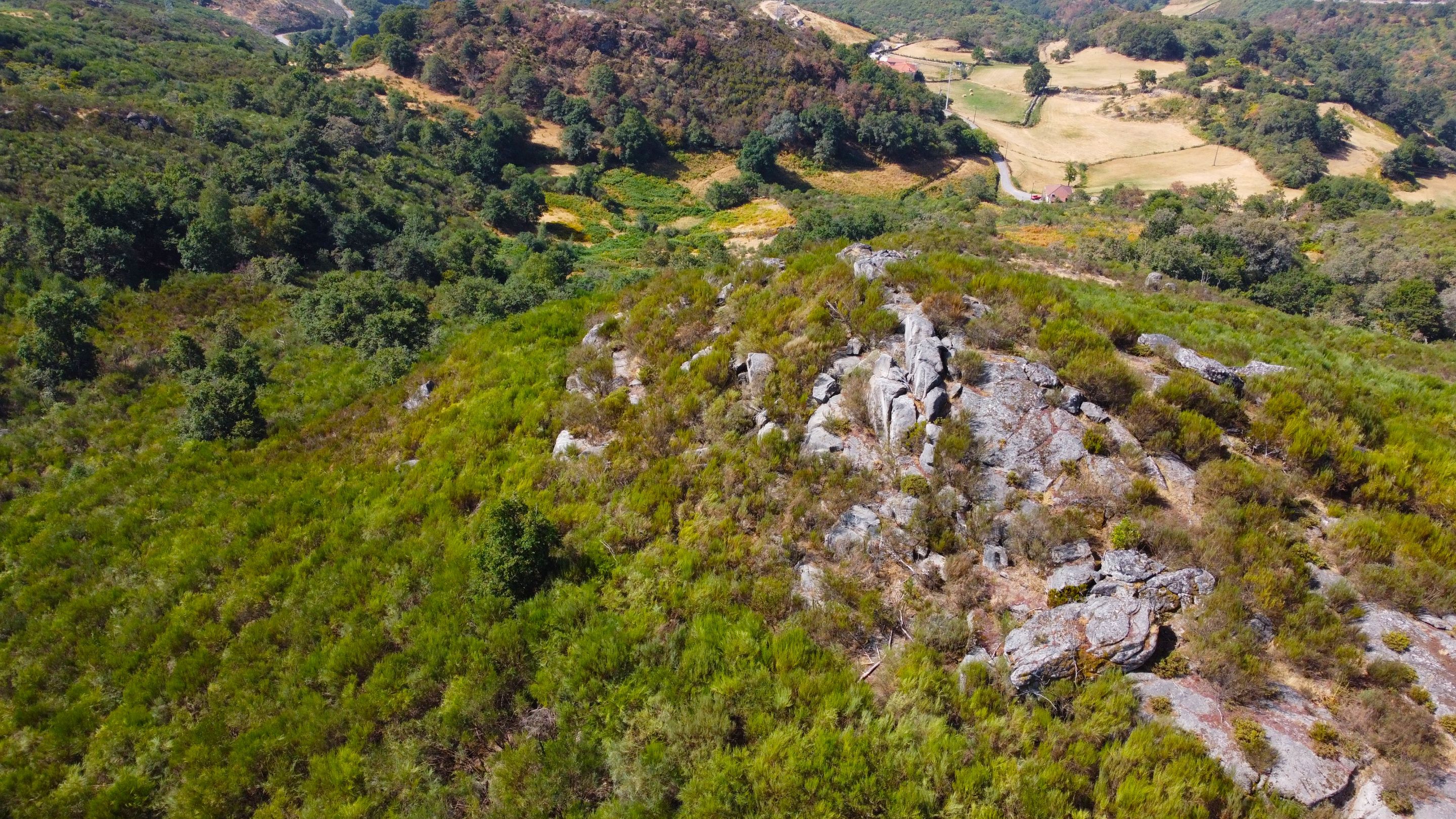 DJI_0564.JPG