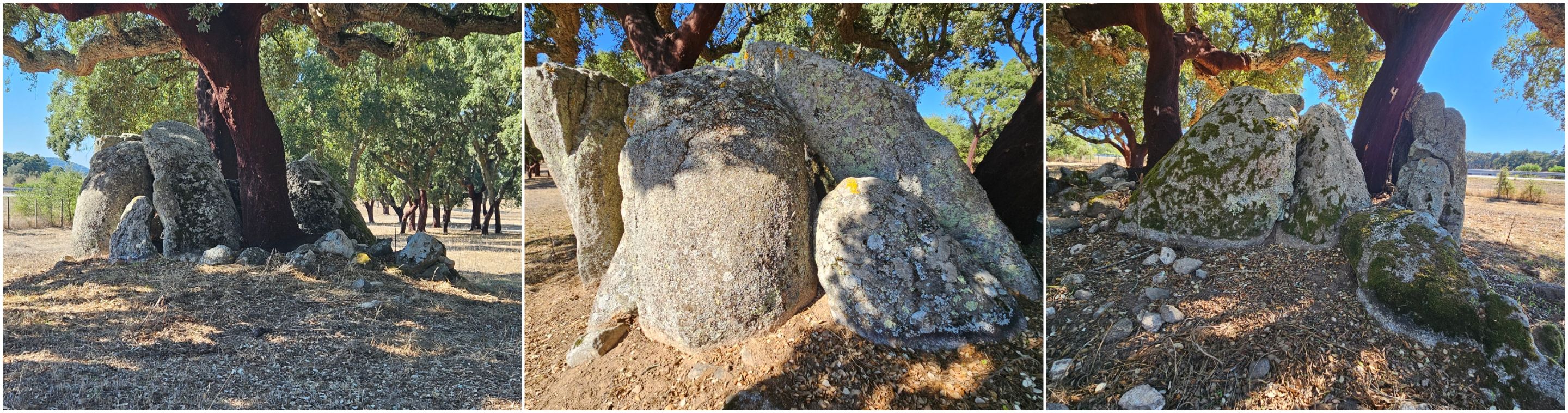 BeFunky-collage - 2025-10-27T133455.762.jpg