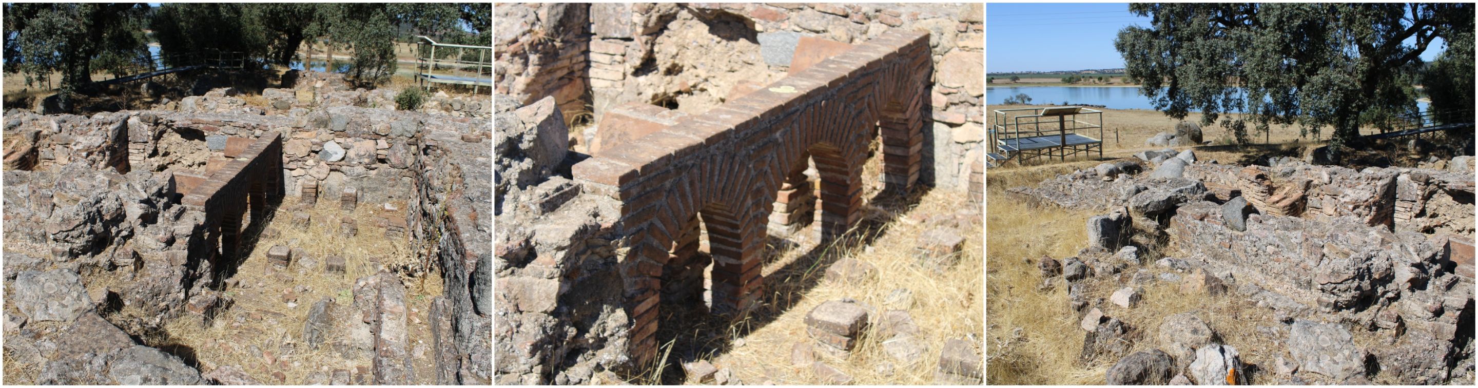 BeFunky-collage - 2025-10-08T134515.204.jpg