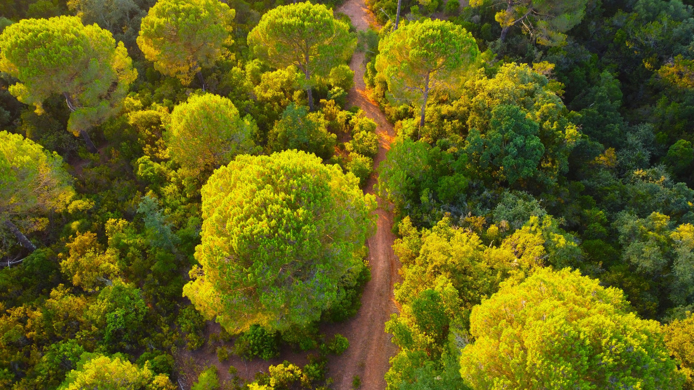 DJI_0403.JPG