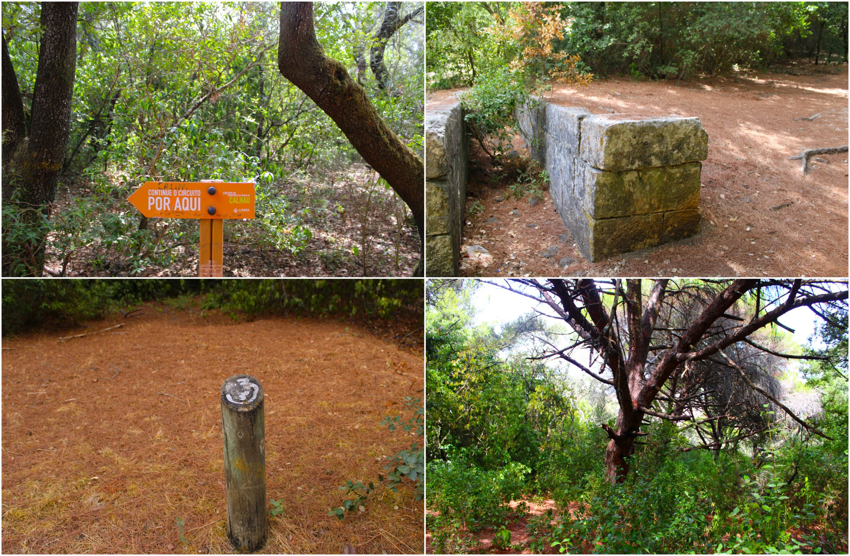 BeFunky-collage - 2025-10-30T092606.585.jpg