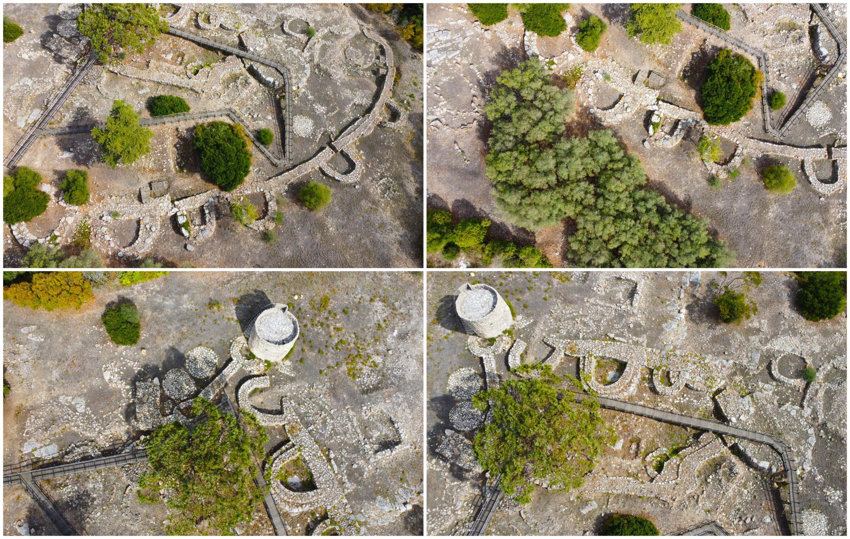 BeFunky-collage - 2025-10-23T105011.601.jpg