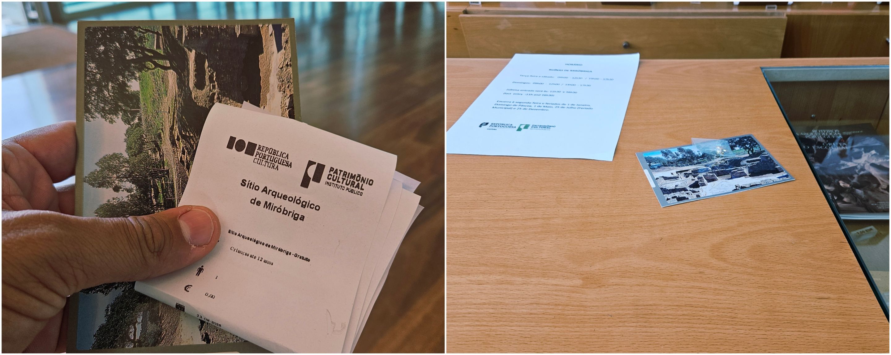 BeFunky-collage - 2025-10-20T111646.977.jpg