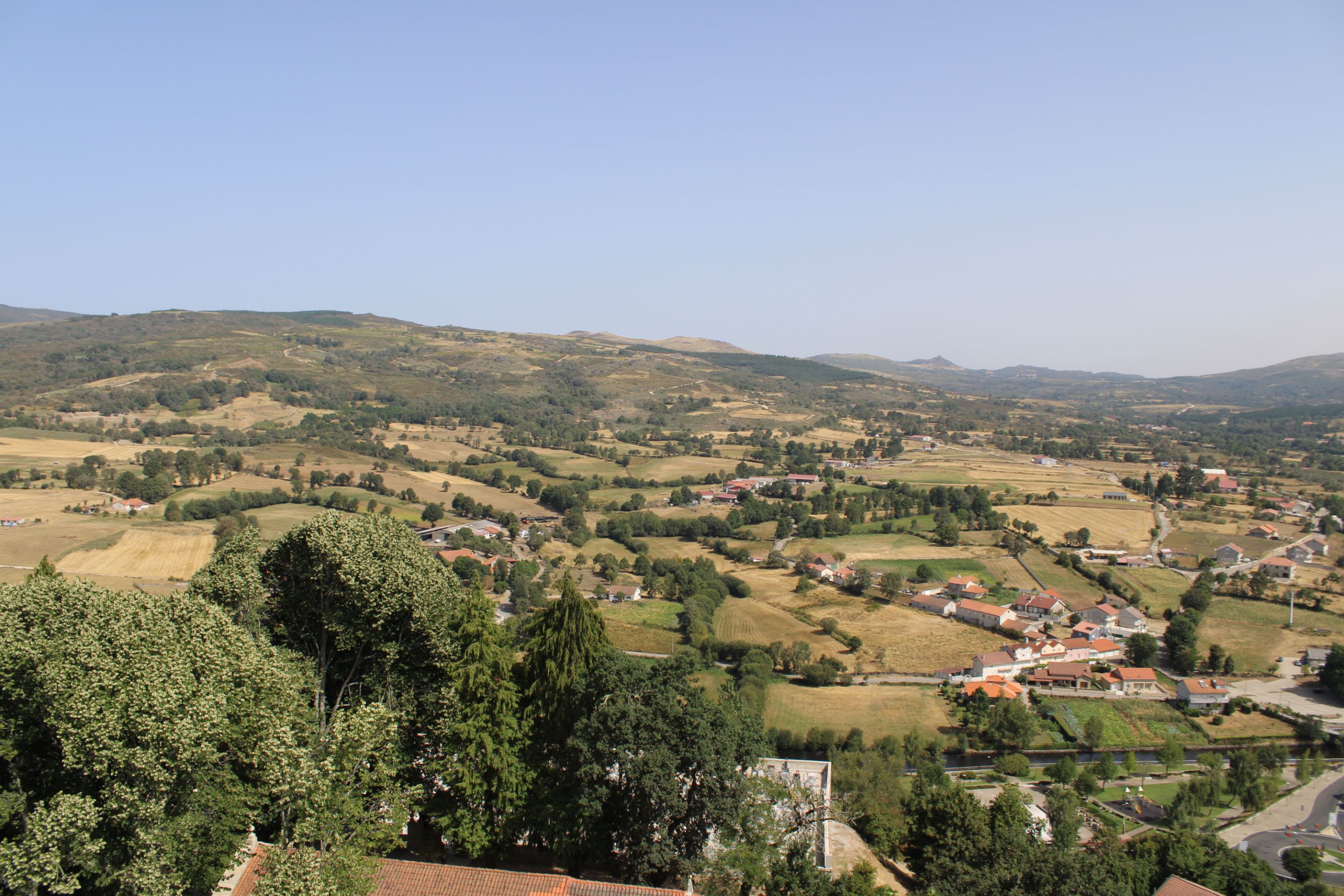 IMG_7534.JPG